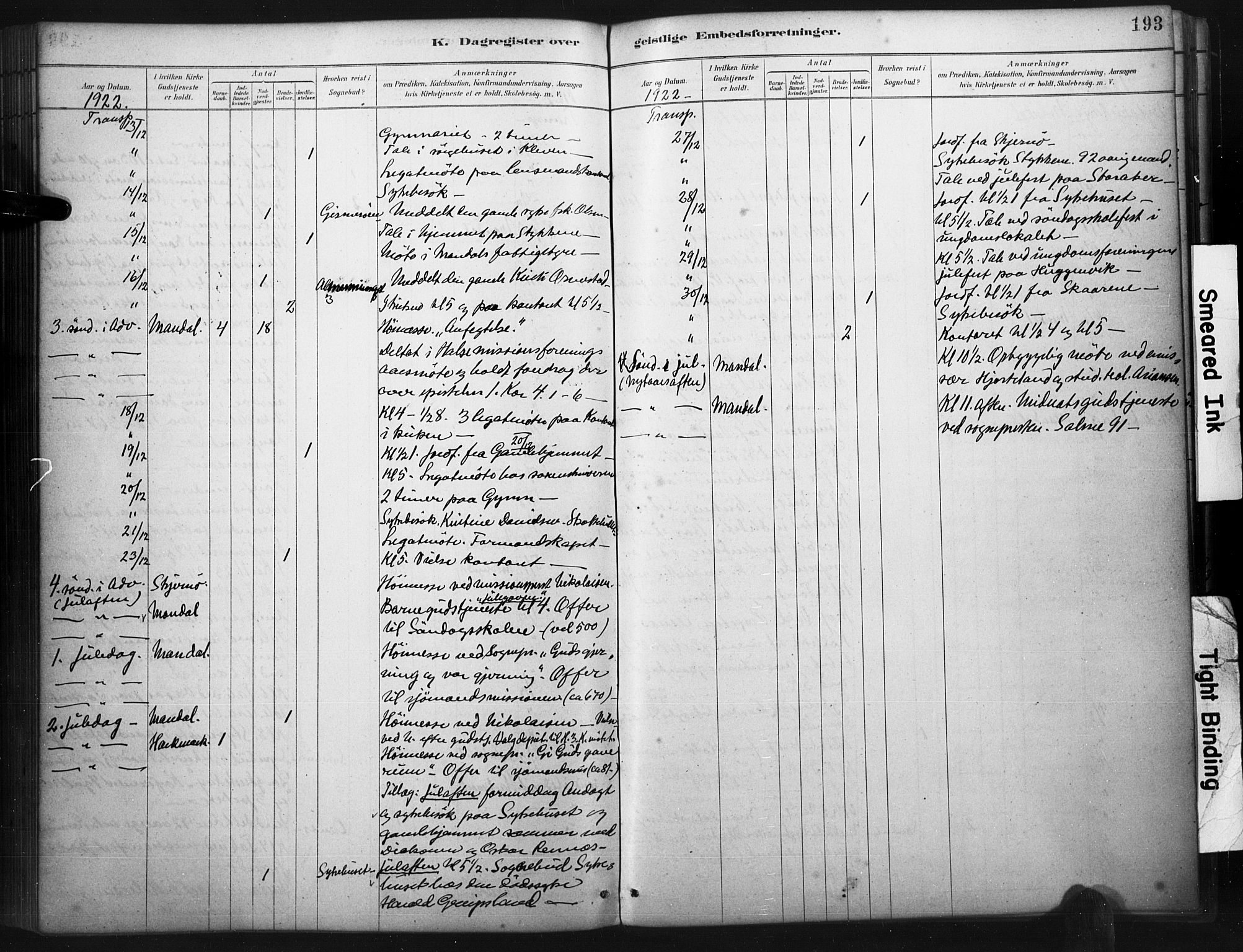 Mandal sokneprestkontor, AV/SAK-1111-0030/F/Fa/Faa/L0017: Parish register (official) no. A 17, 1880-1926, p. 193