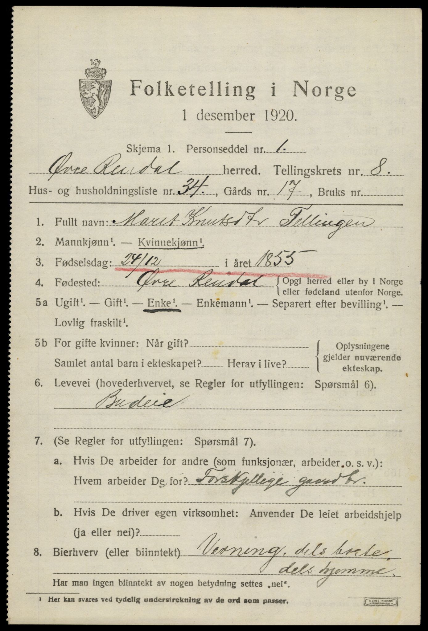 SAH, 1920 census for Øvre Rendal, 1920, p. 3243