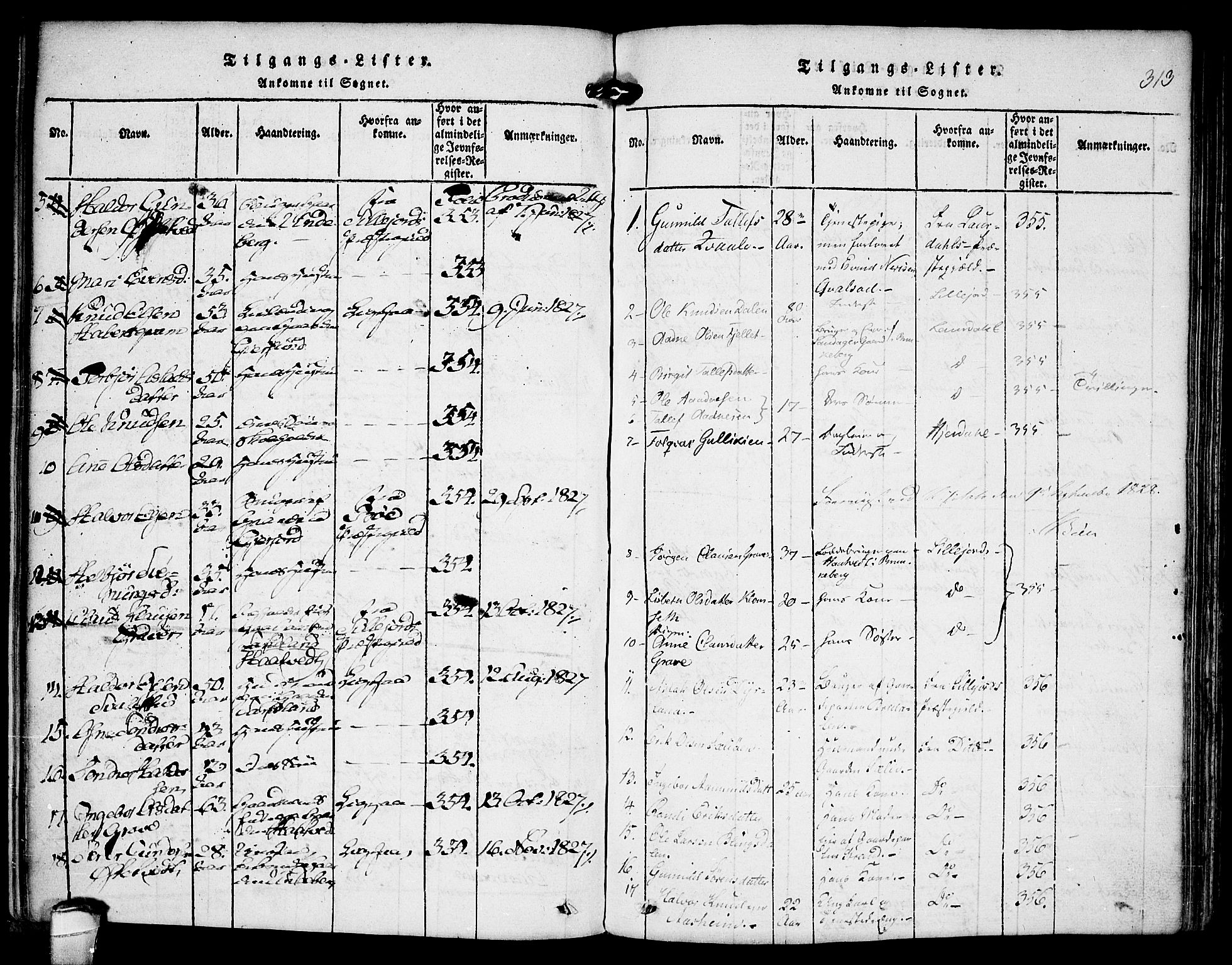Kviteseid kirkebøker, SAKO/A-276/F/Fb/L0001: Parish register (official) no. II 1, 1815-1836, p. 313