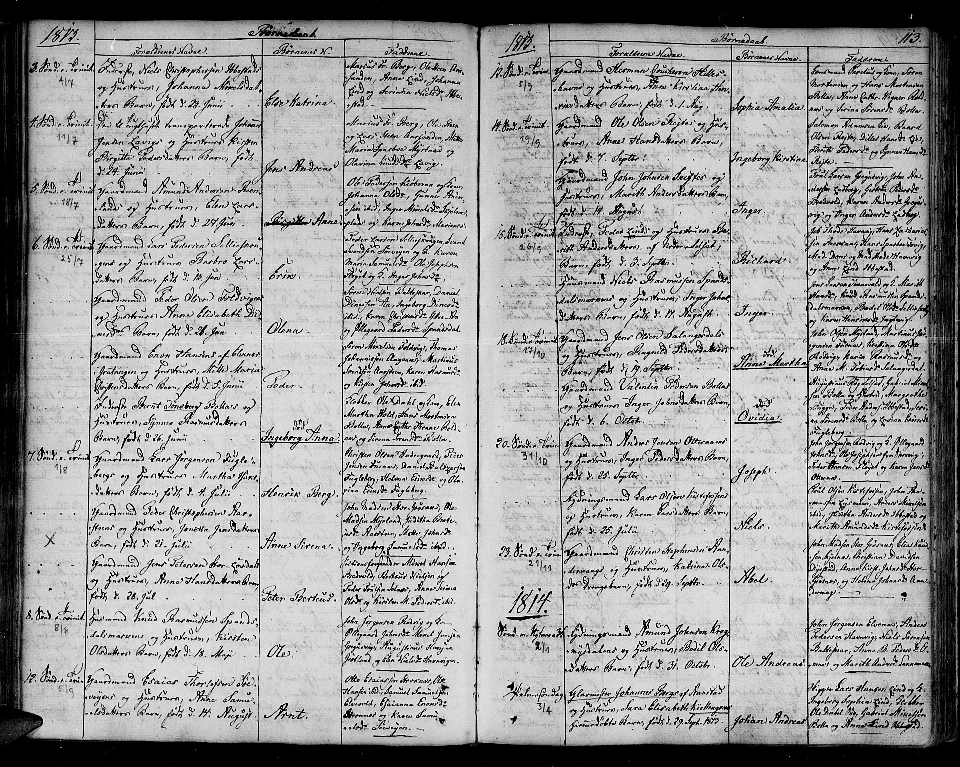 Ibestad sokneprestembete, SATØ/S-0077/H/Ha/Haa/L0004kirke: Parish register (official) no. 4, 1801-1824, p. 113