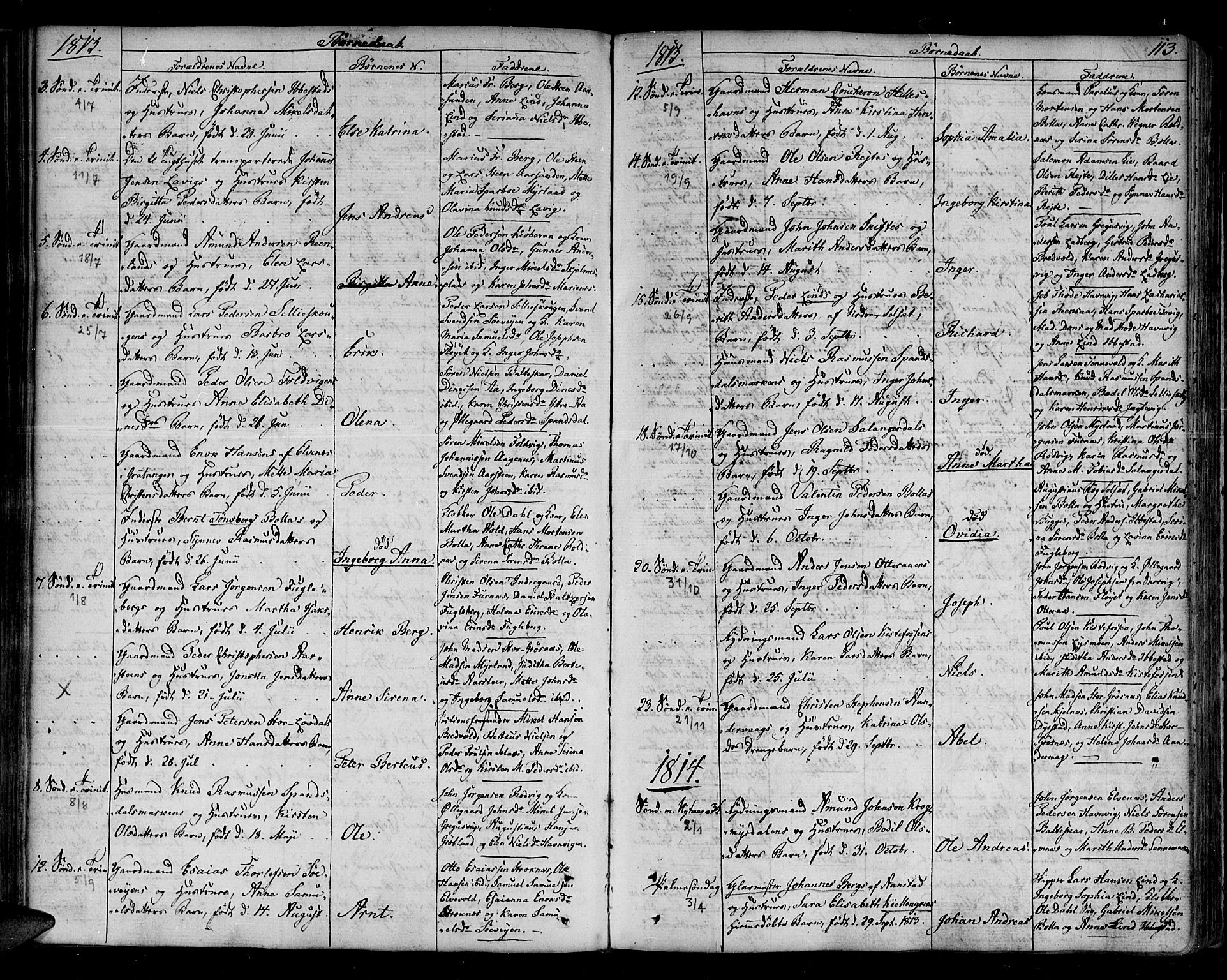 Ibestad sokneprestembete, AV/SATØ-S-0077/H/Ha/Haa/L0004kirke: Parish register (official) no. 4, 1801-1824, p. 113