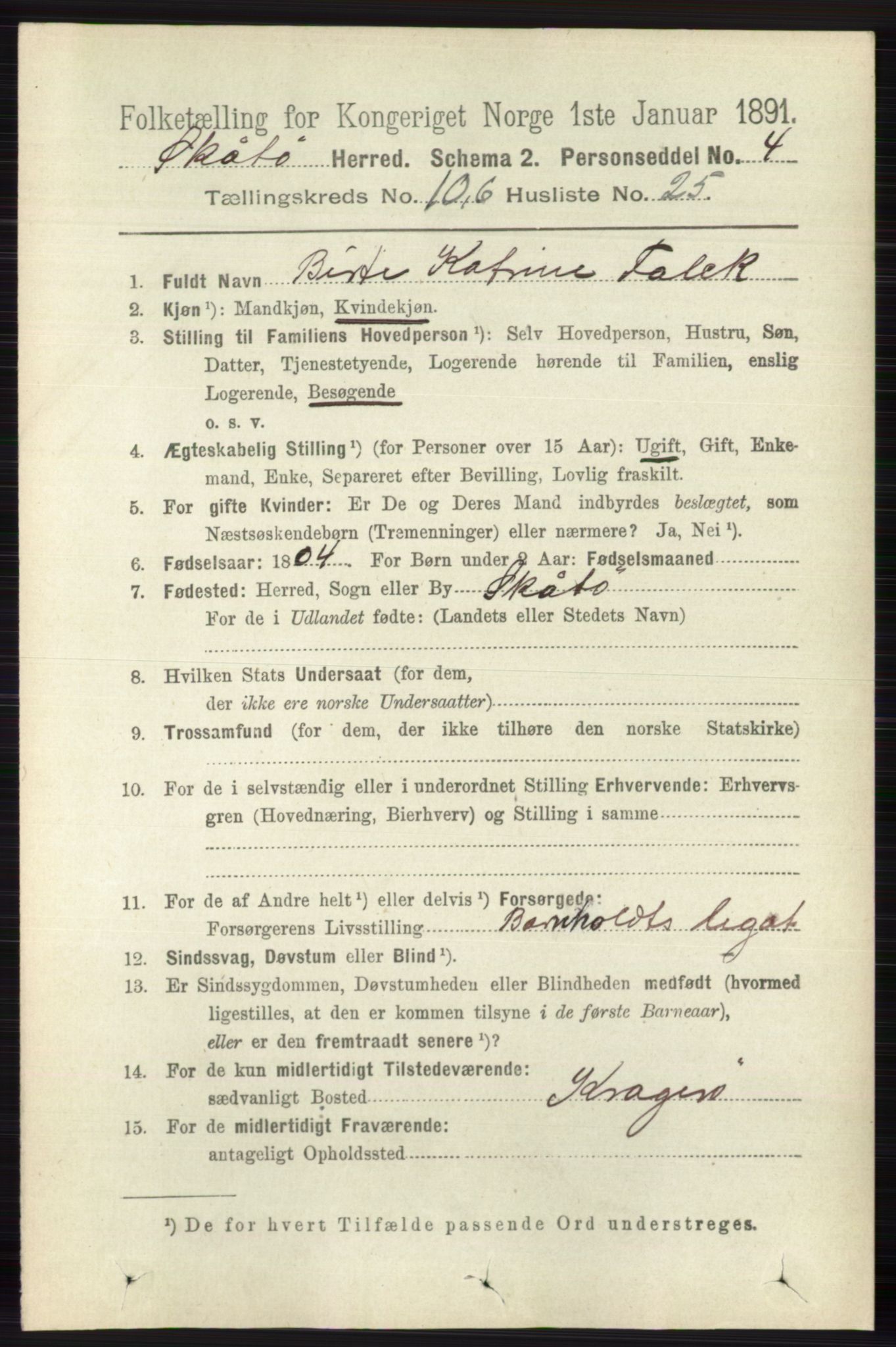 RA, 1891 census for 0815 Skåtøy, 1891, p. 4192