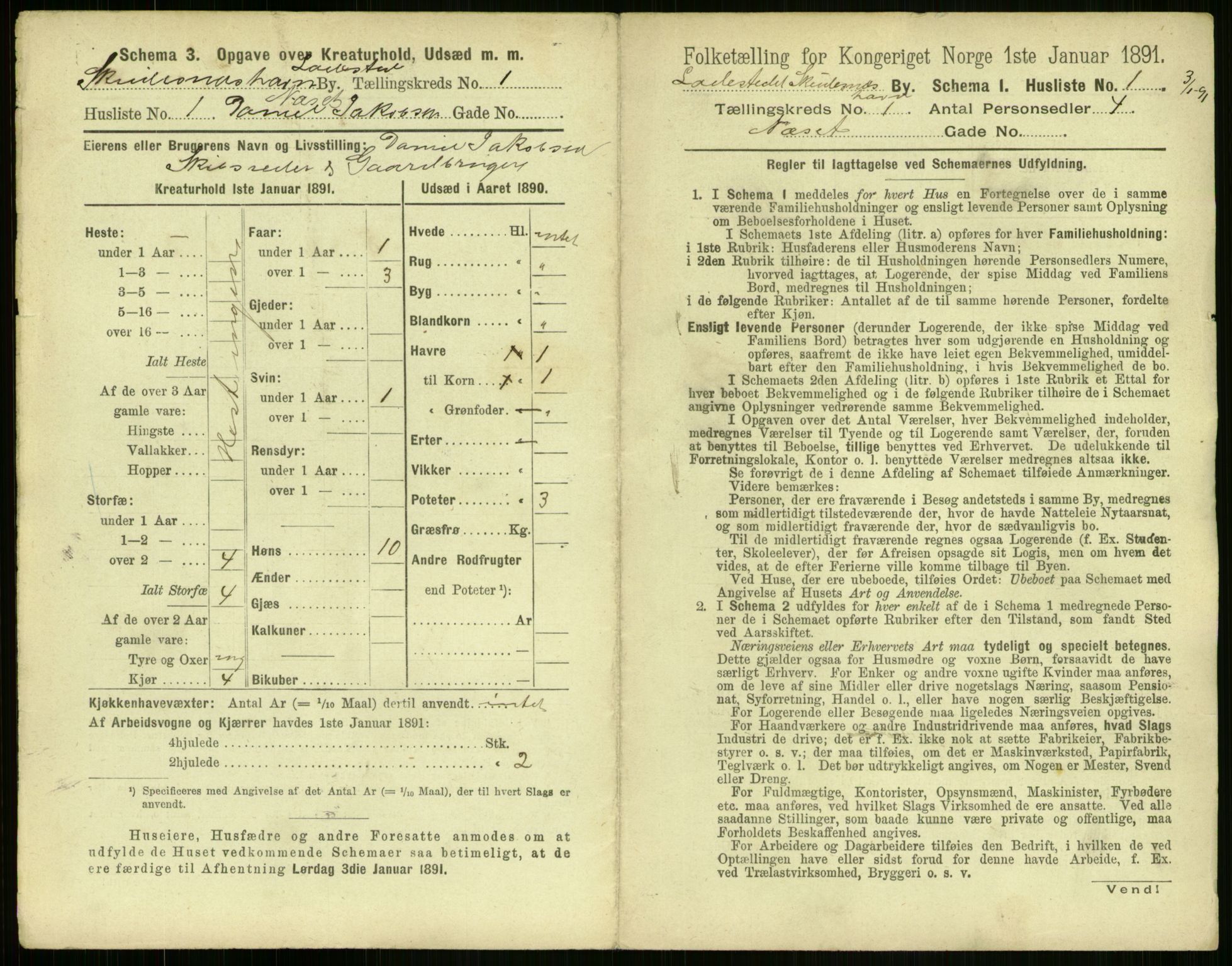 RA, 1891 census for 1104 Skudeneshavn, 1891, p. 16