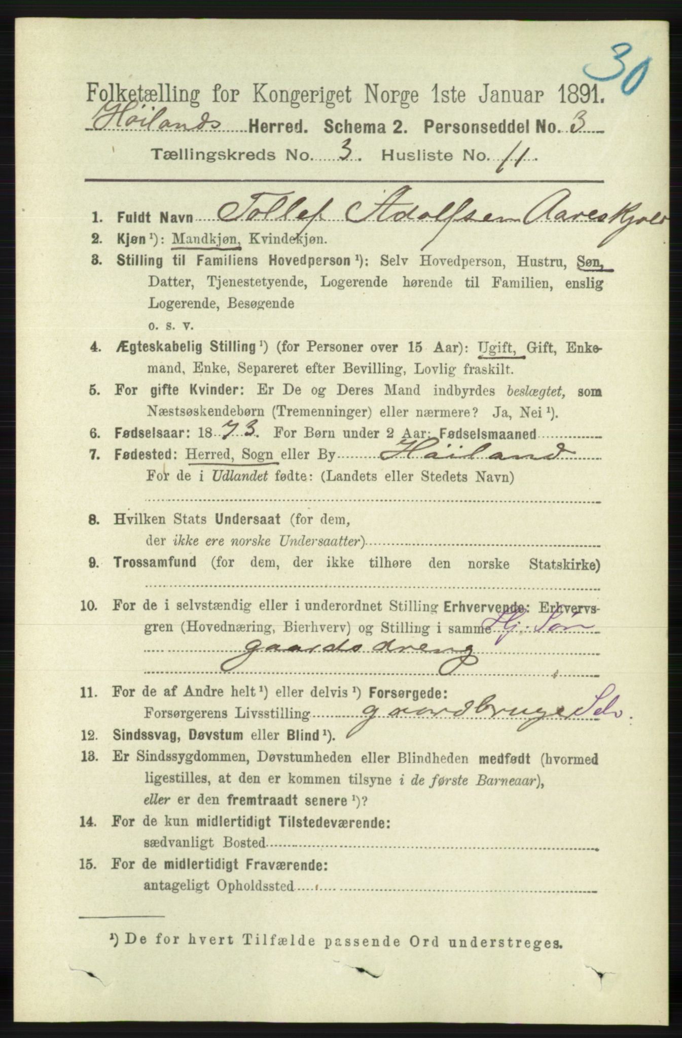 RA, 1891 census for 1123 Høyland, 1891, p. 756