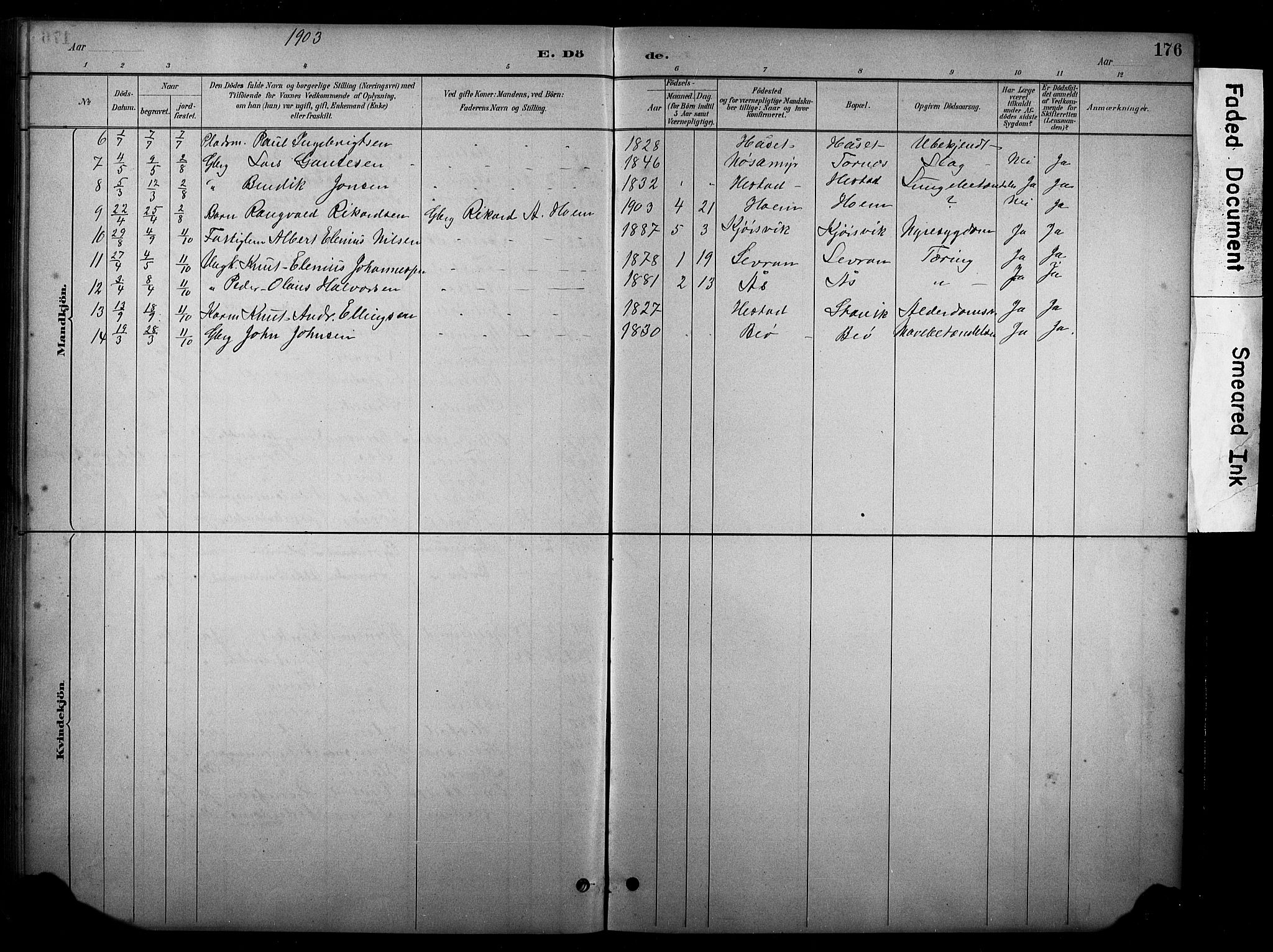 Ministerialprotokoller, klokkerbøker og fødselsregistre - Møre og Romsdal, SAT/A-1454/565/L0755: Parish register (copy) no. 565C04, 1883-1903, p. 176