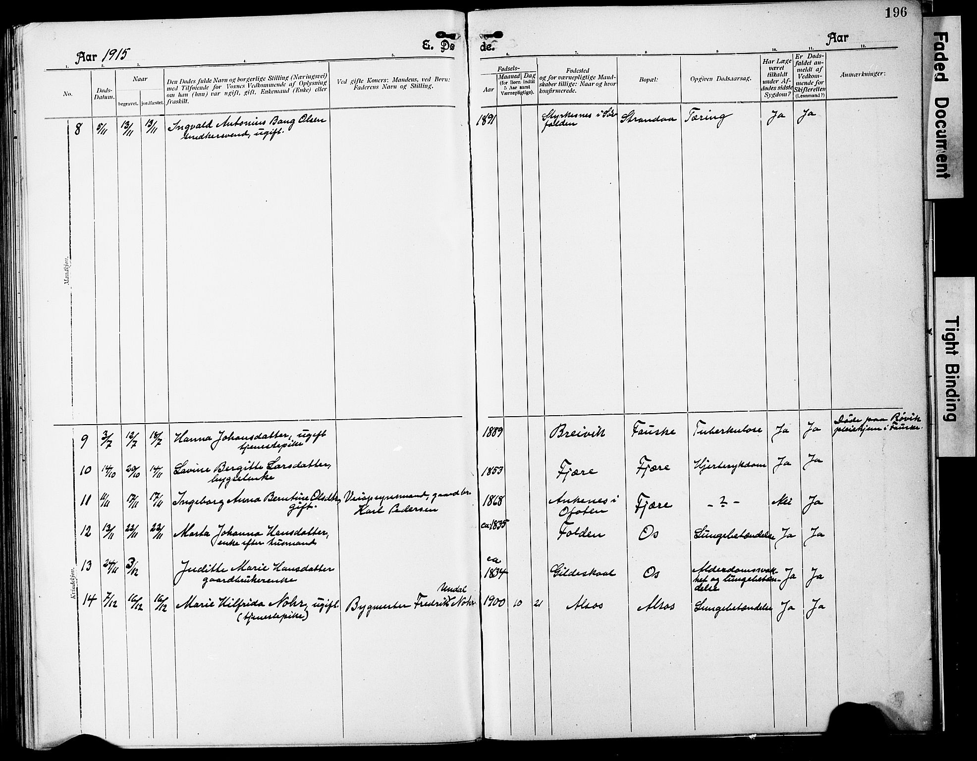 Ministerialprotokoller, klokkerbøker og fødselsregistre - Nordland, SAT/A-1459/803/L0077: Parish register (copy) no. 803C04, 1897-1930, p. 196