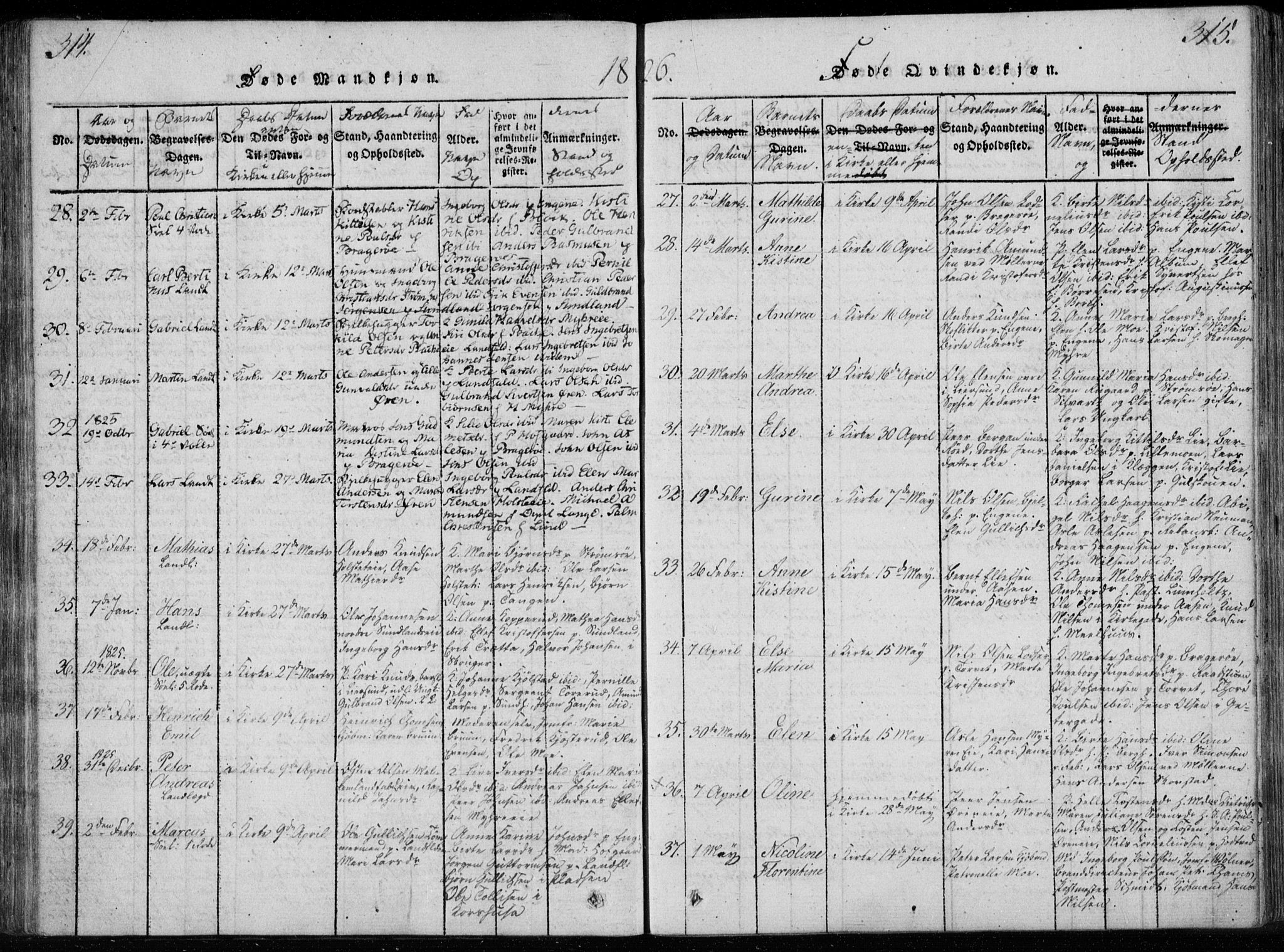 Bragernes kirkebøker, SAKO/A-6/F/Fa/L0007: Parish register (official) no. I 7, 1815-1829, p. 314-315