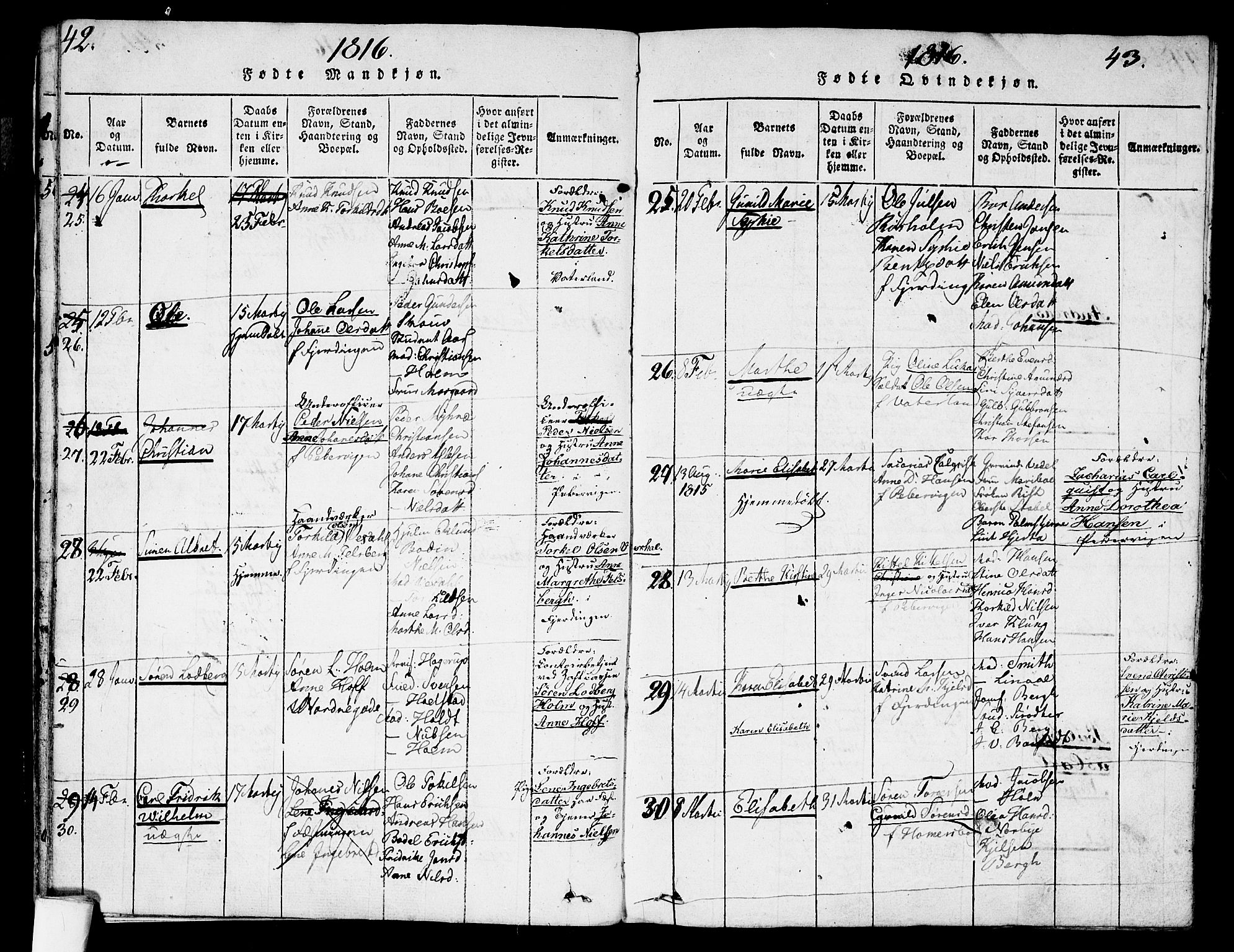 Garnisonsmenigheten Kirkebøker, AV/SAO-A-10846/G/Ga/L0003: Parish register (copy) no. 3, 1815-1819, p. 42-43