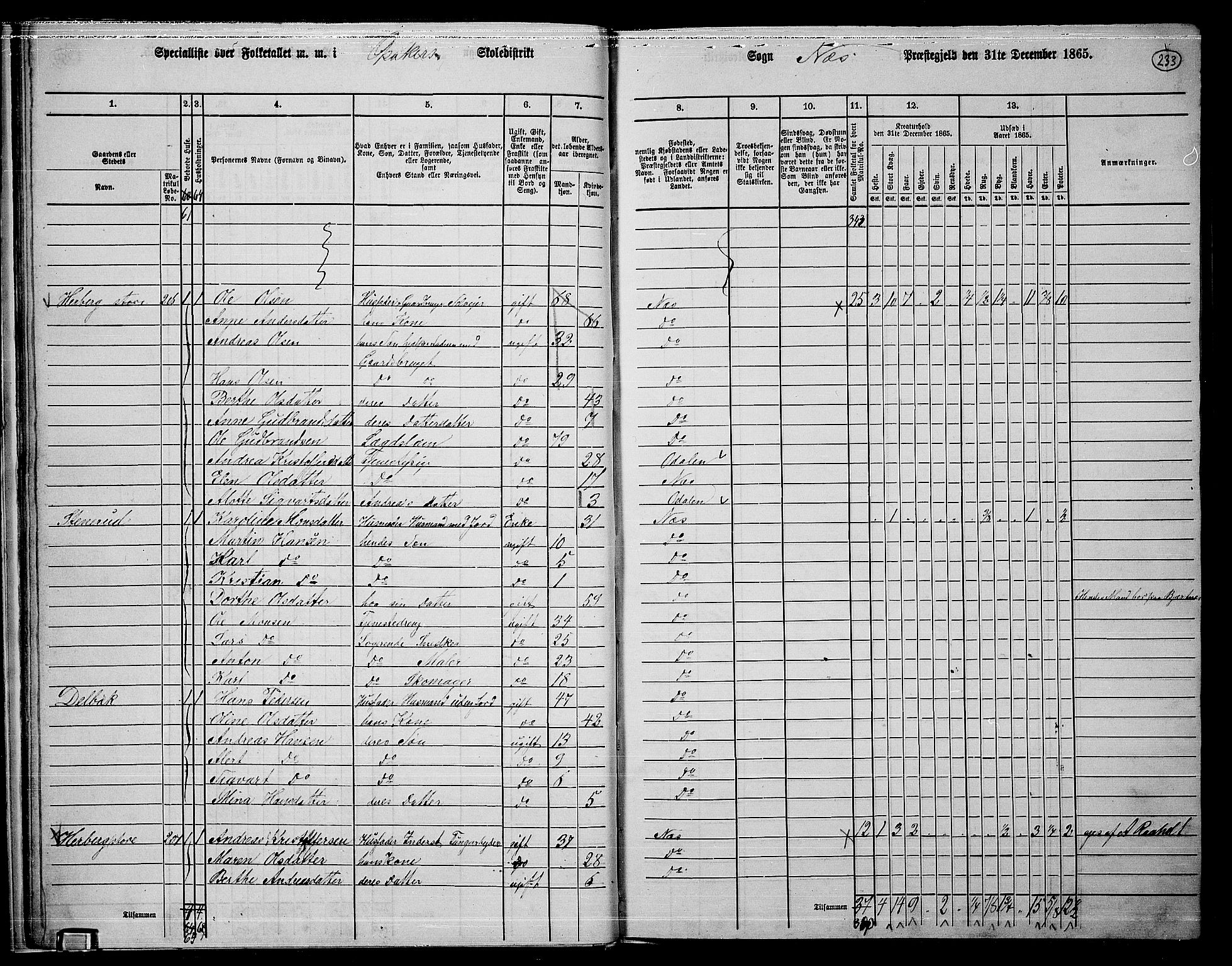 RA, 1865 census for Nes, 1865, p. 216