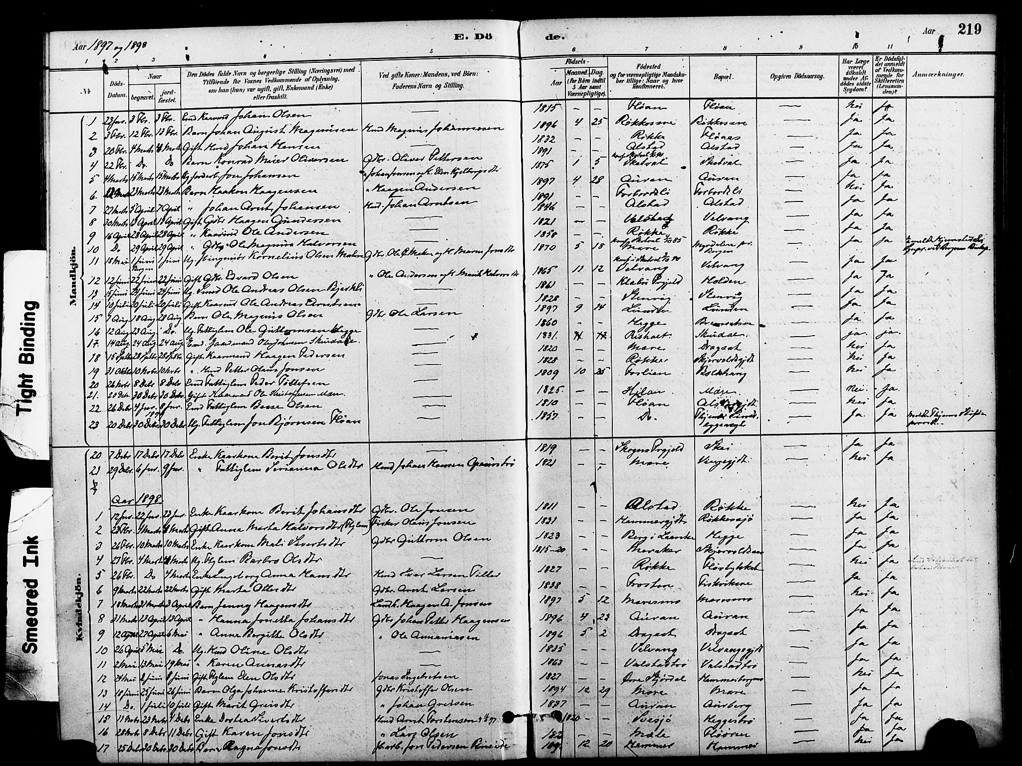 Ministerialprotokoller, klokkerbøker og fødselsregistre - Nord-Trøndelag, SAT/A-1458/712/L0100: Parish register (official) no. 712A01, 1880-1900, p. 219