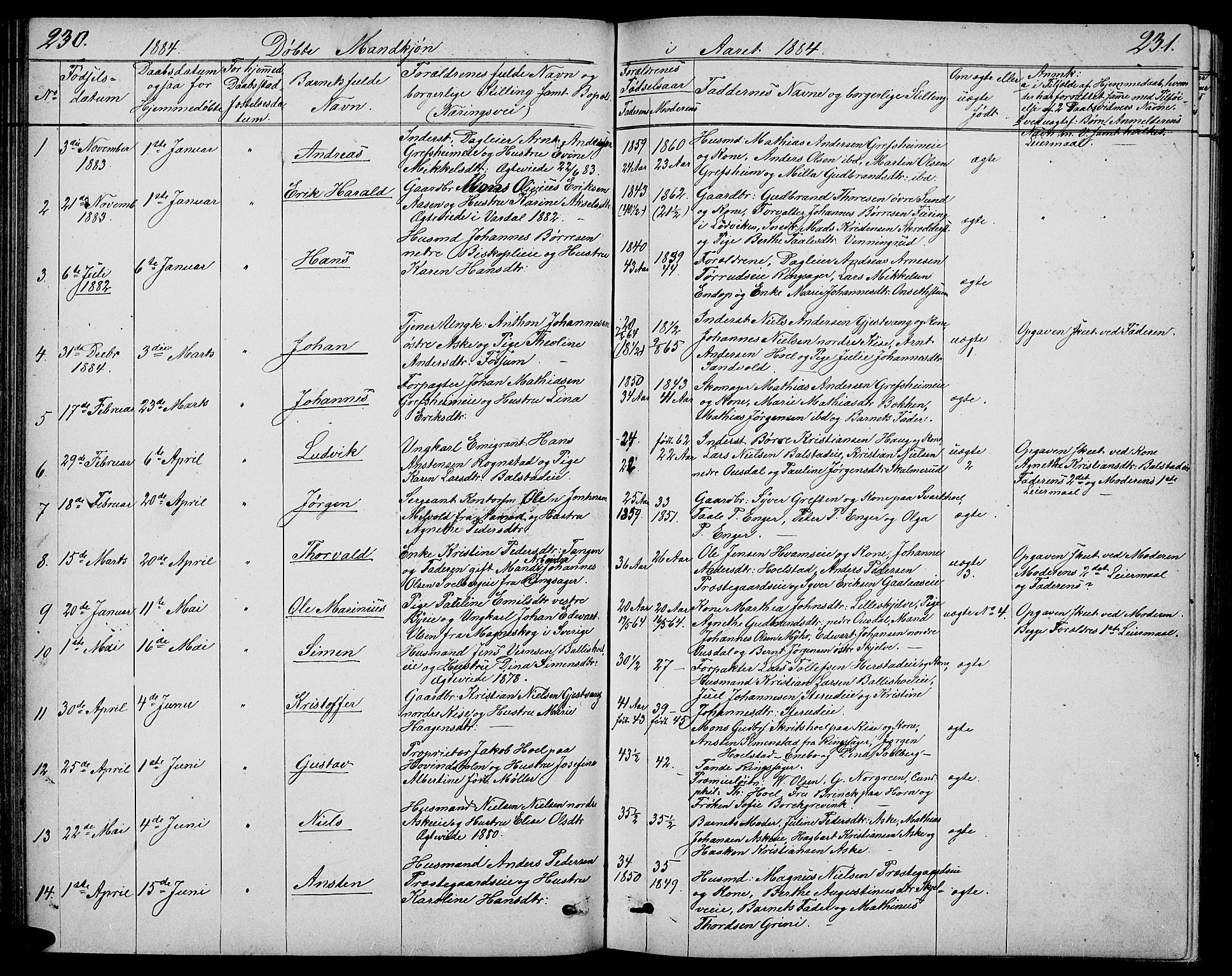 Nes prestekontor, Hedmark, SAH/PREST-020/L/La/L0005: Parish register (copy) no. 5, 1852-1889, p. 230-231