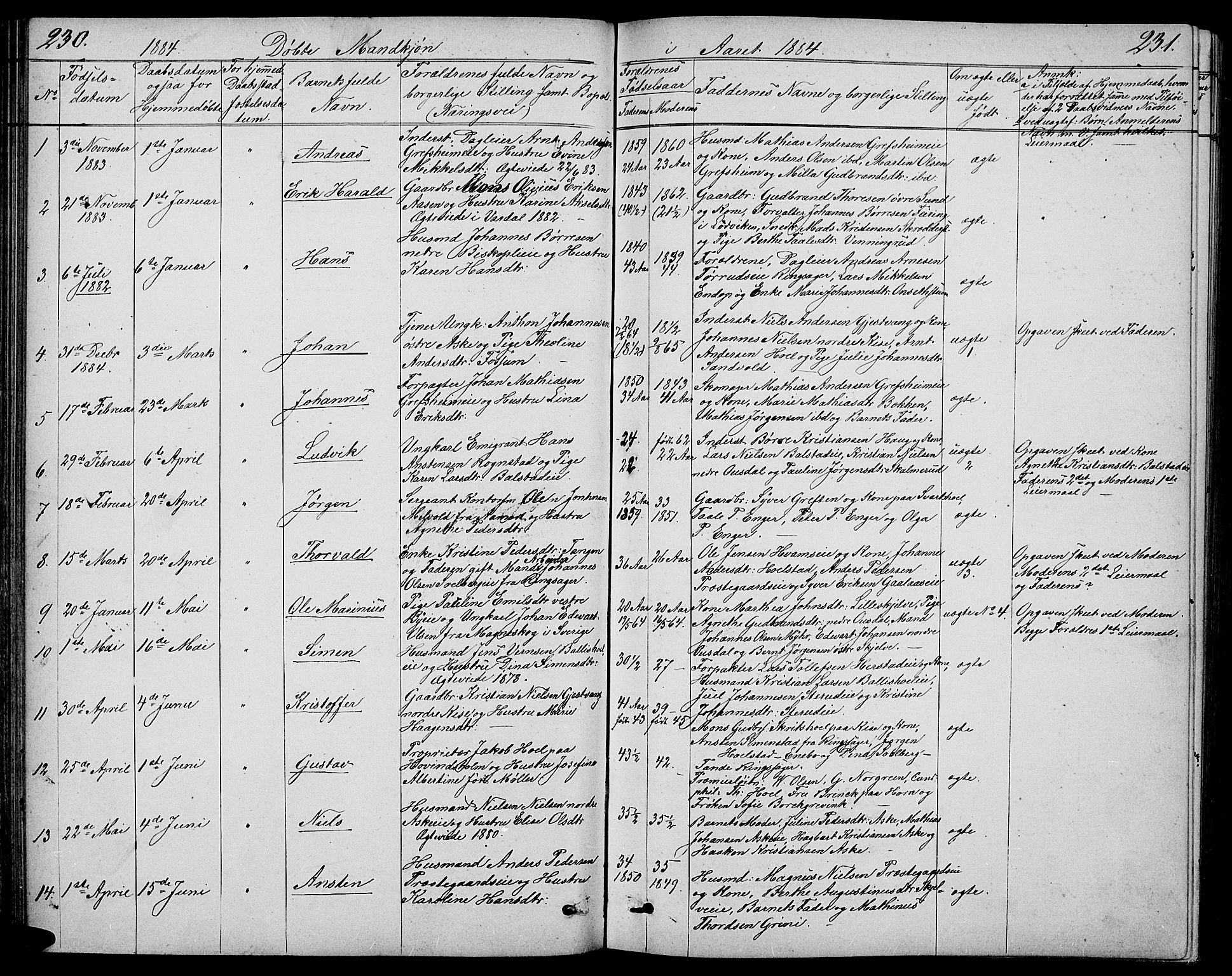 Nes prestekontor, Hedmark, AV/SAH-PREST-020/L/La/L0005: Parish register (copy) no. 5, 1852-1889, p. 230-231