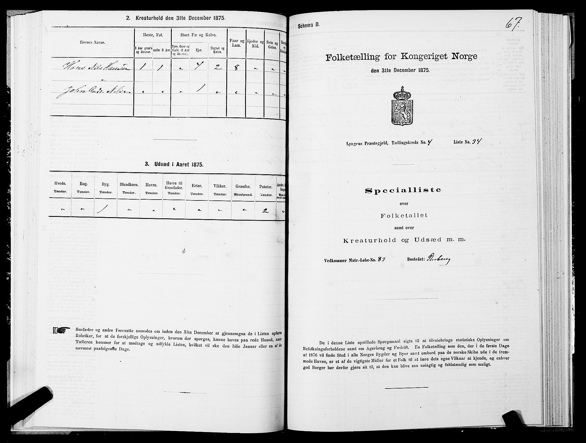 SATØ, 1875 census for 1938P Lyngen, 1875, p. 4067