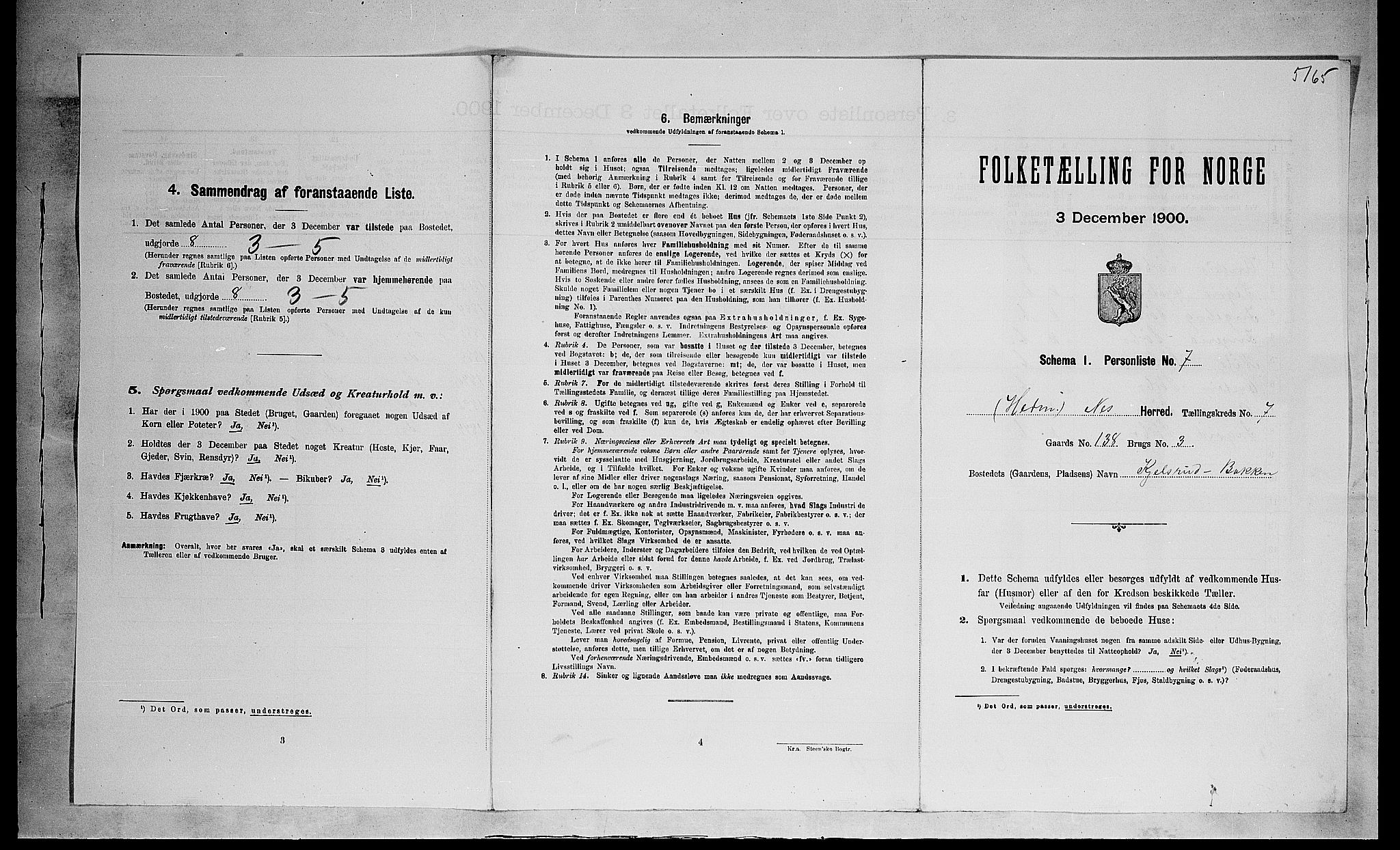 SAH, 1900 census for Nes, 1900, p. 1028