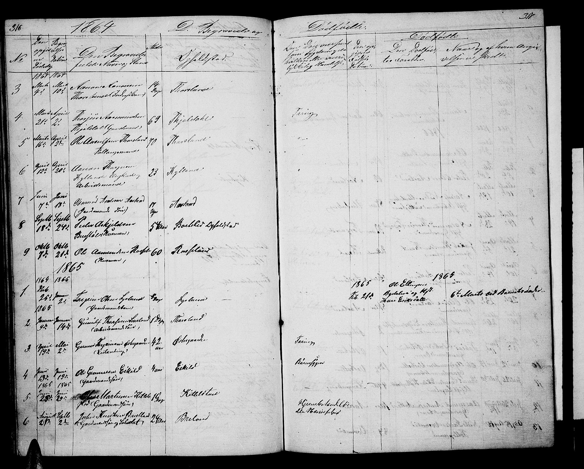 Åseral sokneprestkontor, AV/SAK-1111-0051/F/Fb/L0001: Parish register (copy) no. B 1, 1856-1877, p. 316-317