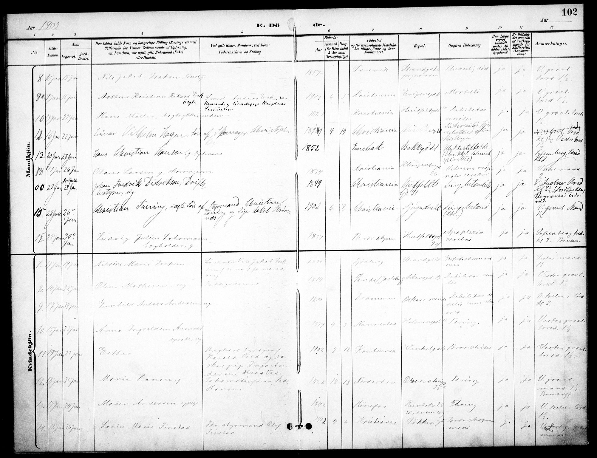 Johannes prestekontor Kirkebøker, AV/SAO-A-10852/F/Fa/L0008: Parish register (official) no. 8, 1897-1917, p. 102