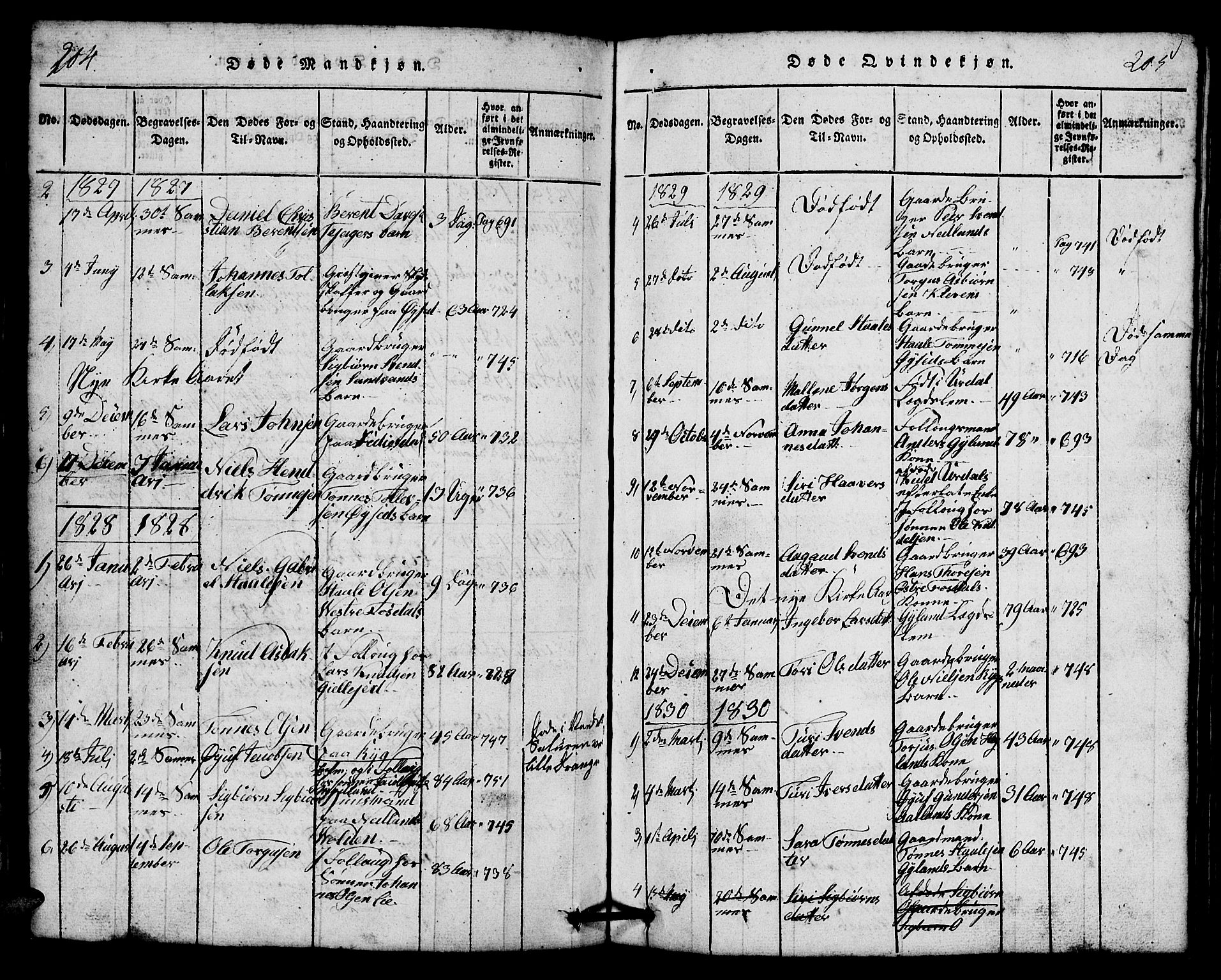 Bakke sokneprestkontor, SAK/1111-0002/F/Fb/Fbb/L0001: Parish register (copy) no. B 1, 1815-1835, p. 204-205