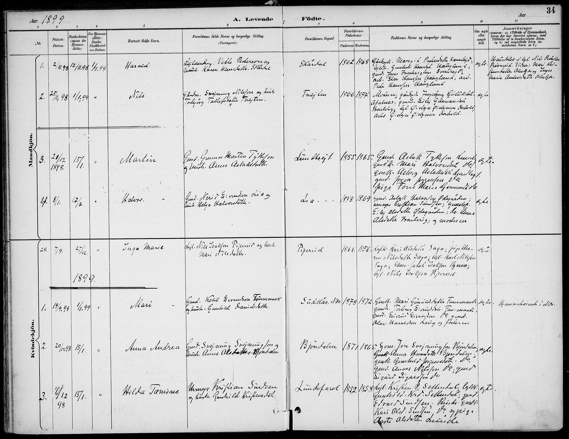 Lunde kirkebøker, SAKO/A-282/F/Fa/L0003: Parish register (official) no. I 3, 1893-1902, p. 34