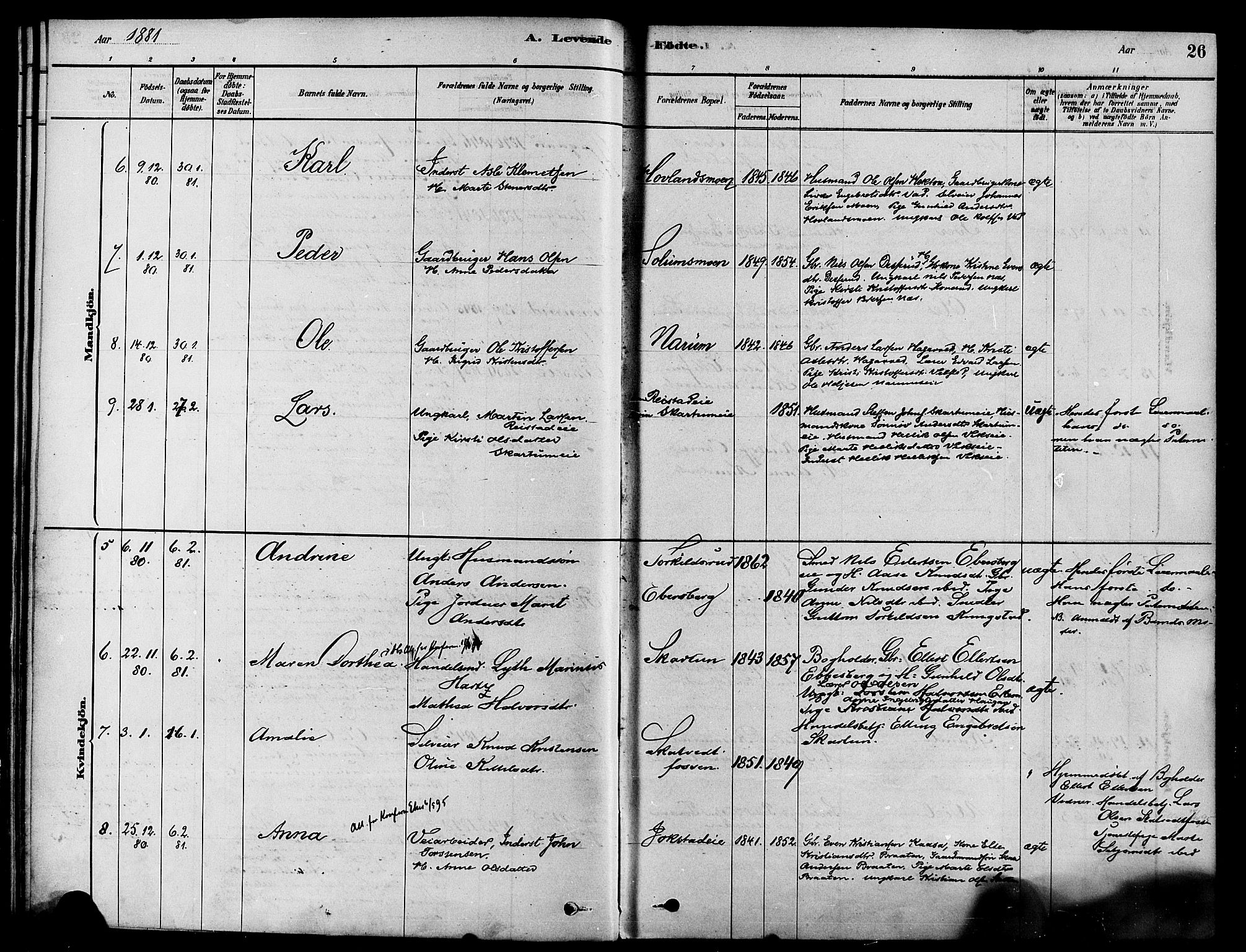 Sigdal kirkebøker, AV/SAKO-A-245/F/Fa/L0011: Parish register (official) no. I 11, 1879-1887, p. 26