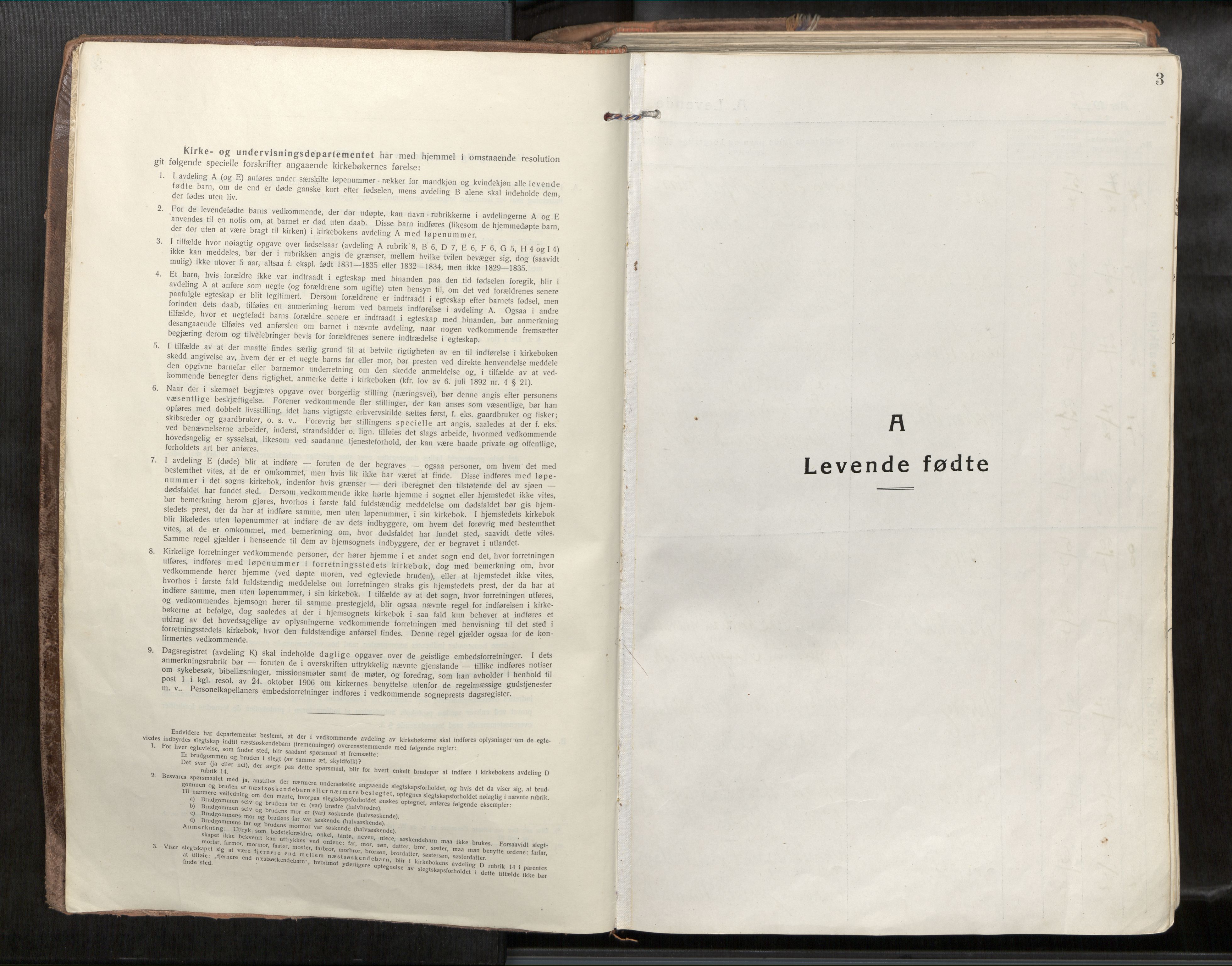 Verdal sokneprestkontor, AV/SAT-A-1156/2/H/Haa/L0001: Parish register (official) no. 1, 1917-1932, p. 3