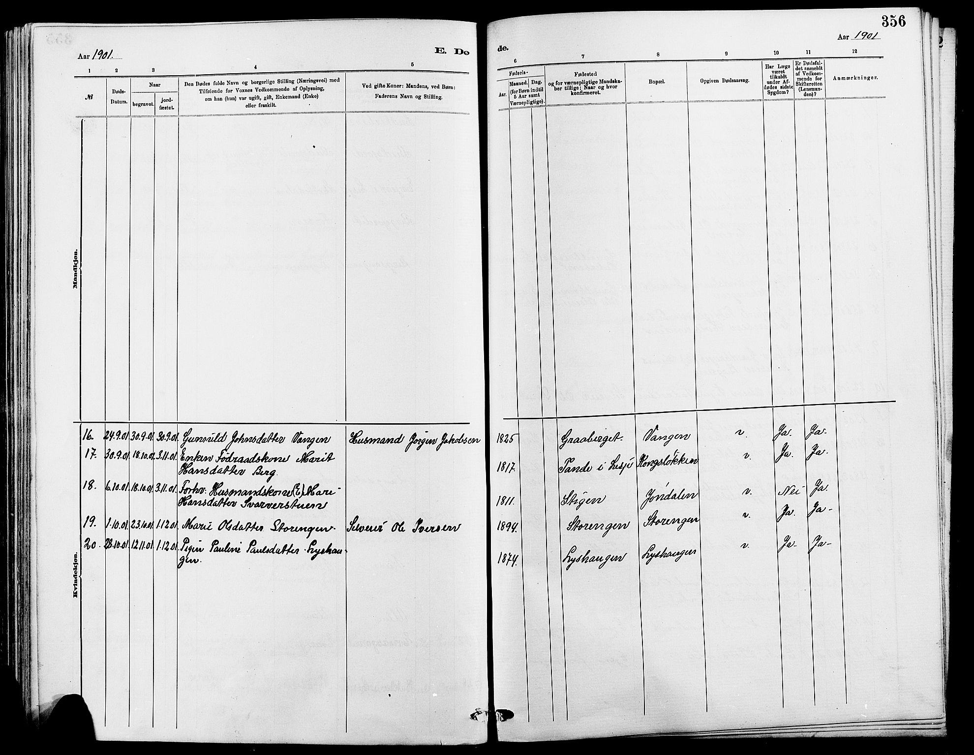 Dovre prestekontor, SAH/PREST-066/H/Ha/Hab/L0002: Parish register (copy) no. 2, 1881-1907, p. 356