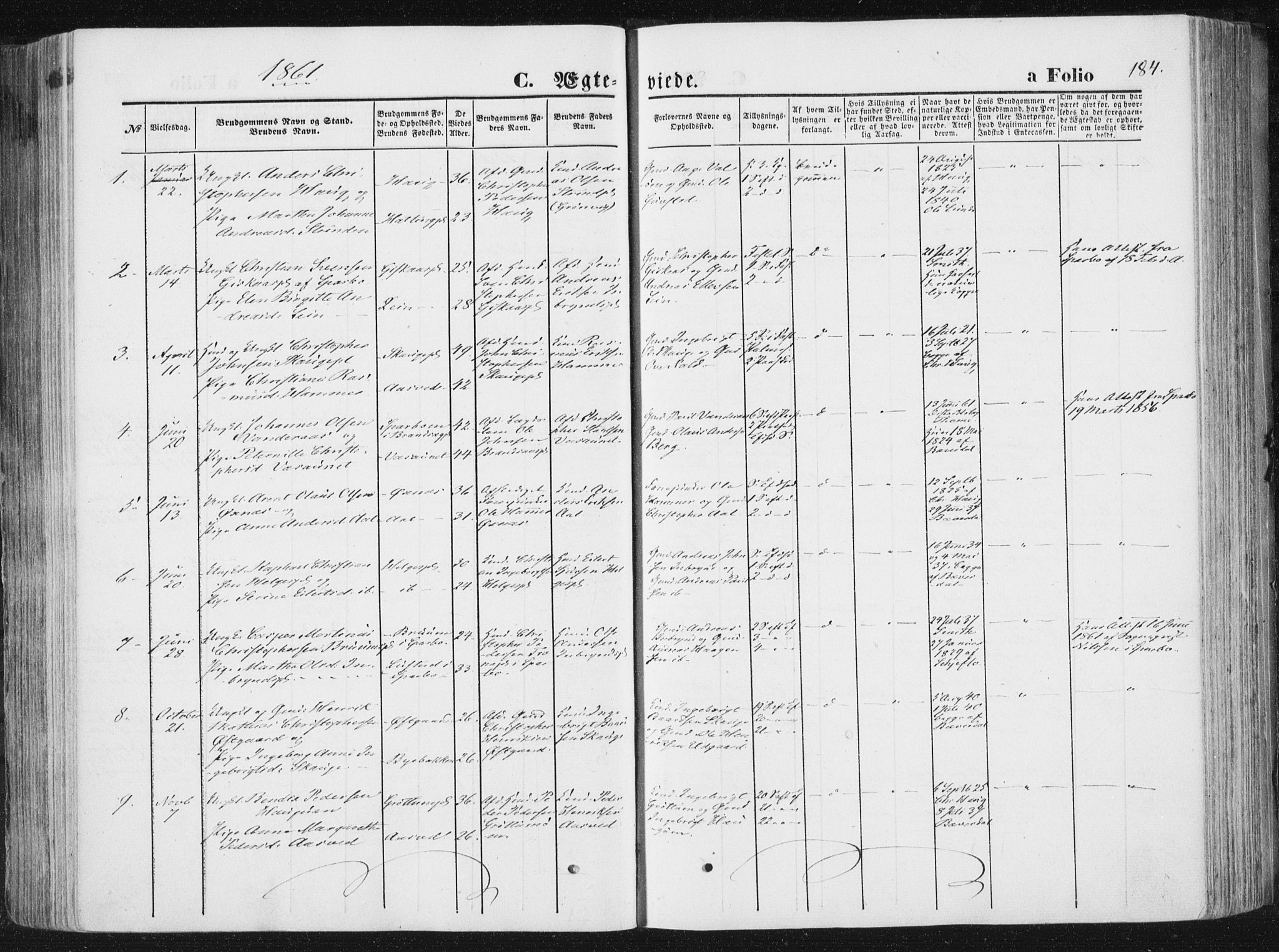 Ministerialprotokoller, klokkerbøker og fødselsregistre - Nord-Trøndelag, SAT/A-1458/746/L0447: Parish register (official) no. 746A06, 1860-1877, p. 184