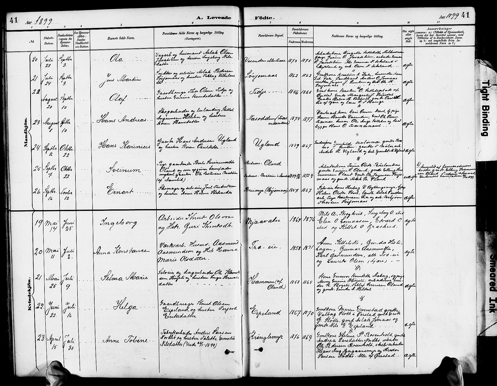 Froland sokneprestkontor, AV/SAK-1111-0013/F/Fb/L0010: Parish register (copy) no. B 10, 1893-1920, p. 41