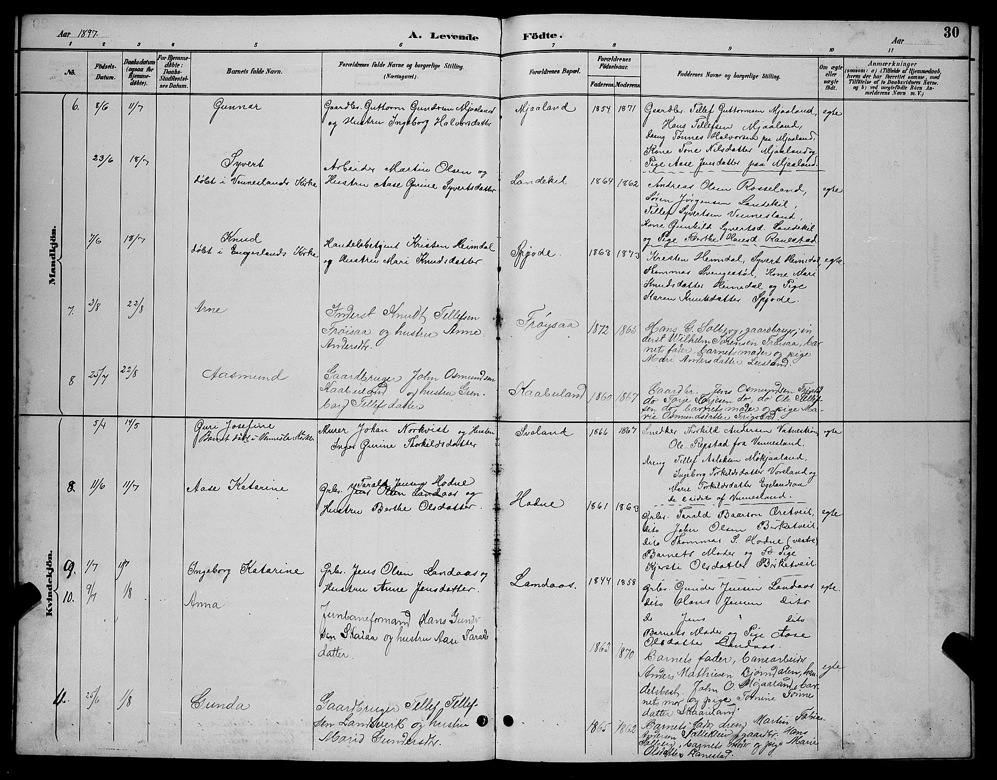 Evje sokneprestkontor, AV/SAK-1111-0008/F/Fb/Fbc/L0004: Parish register (copy) no. B 4, 1890-1900, p. 30