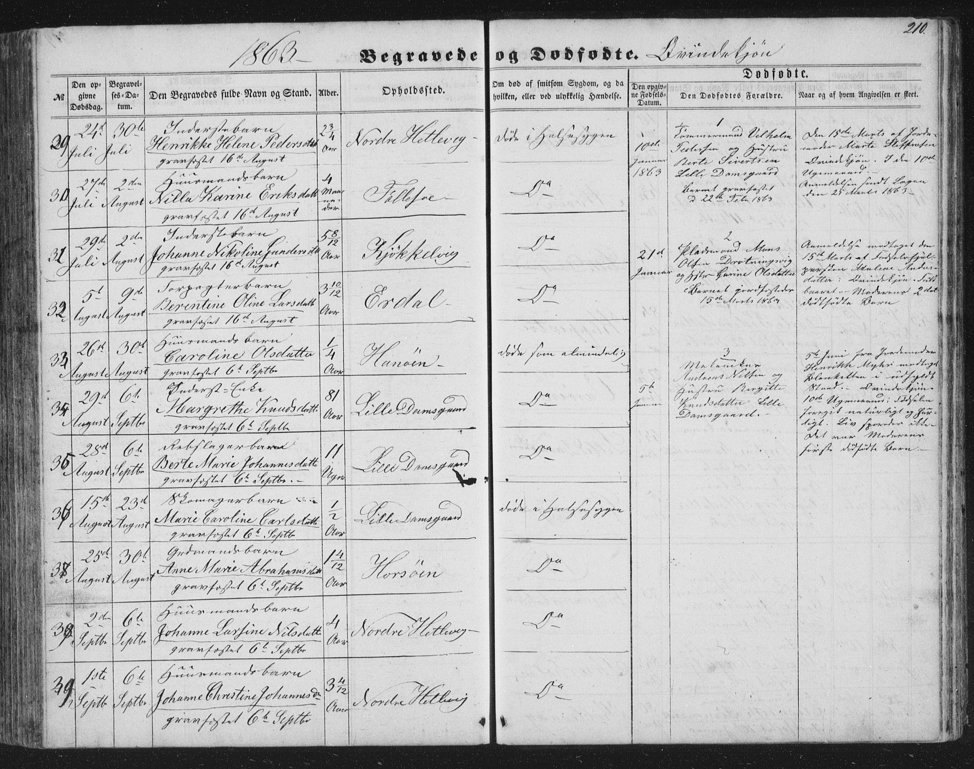 Askøy Sokneprestembete, SAB/A-74101/H/Ha/Hab/Haba/L0005: Parish register (copy) no. A 5, 1857-1871, p. 210