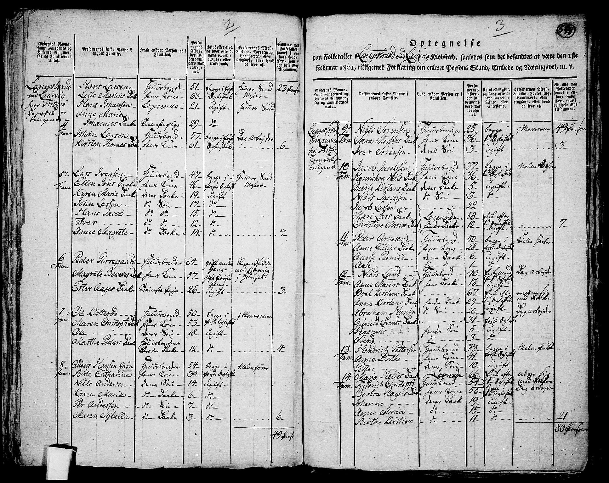 RA, 1801 census for 0707P Larvik, 1801, p. 597b-598a