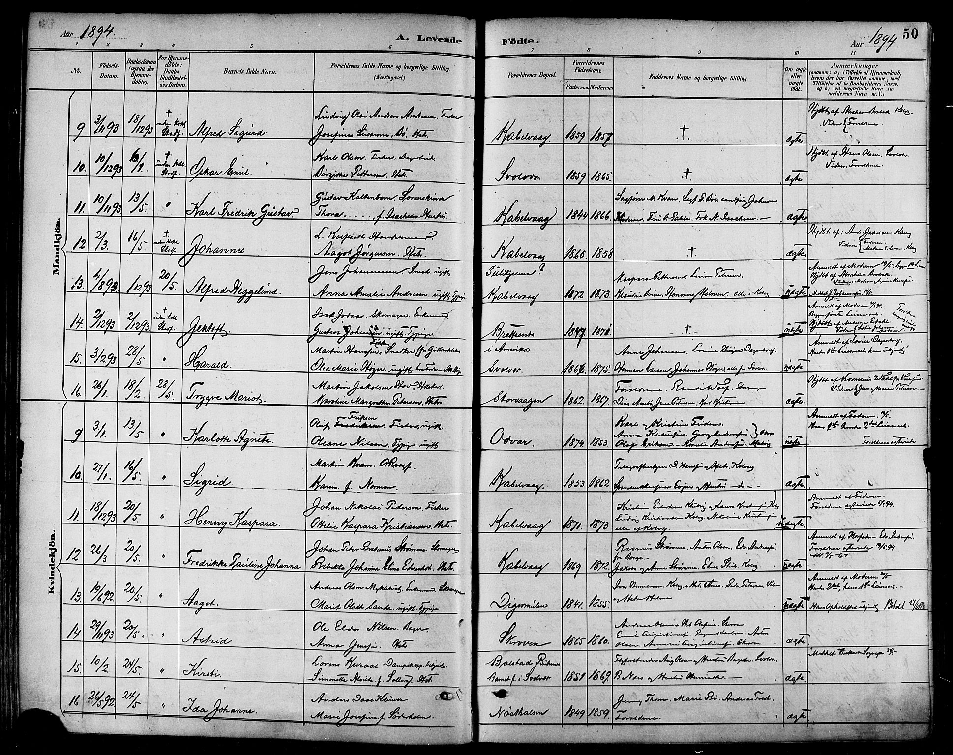 Ministerialprotokoller, klokkerbøker og fødselsregistre - Nordland, SAT/A-1459/874/L1060: Parish register (official) no. 874A04, 1890-1899, p. 50