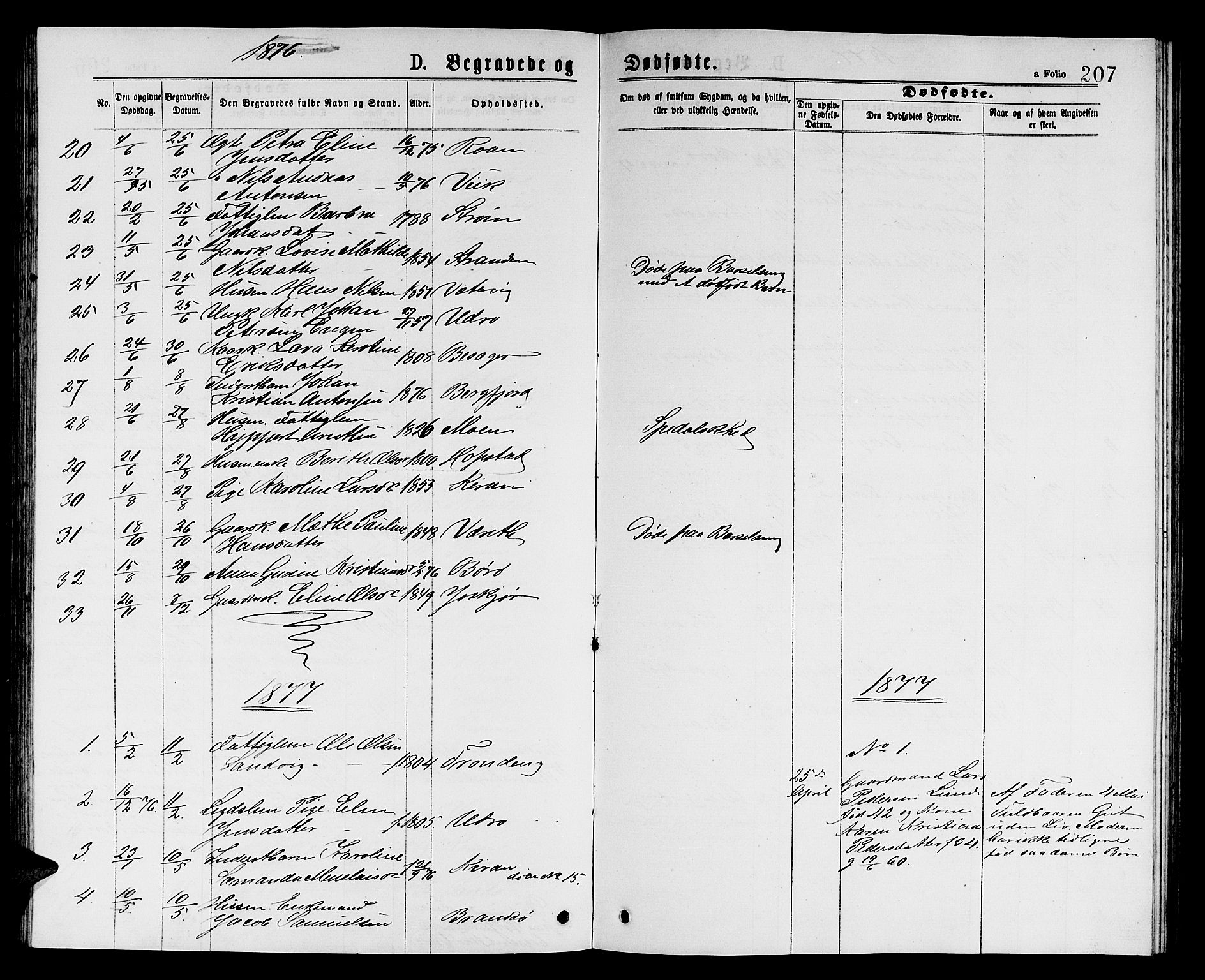 Ministerialprotokoller, klokkerbøker og fødselsregistre - Sør-Trøndelag, SAT/A-1456/657/L0715: Parish register (copy) no. 657C02, 1873-1888, p. 207