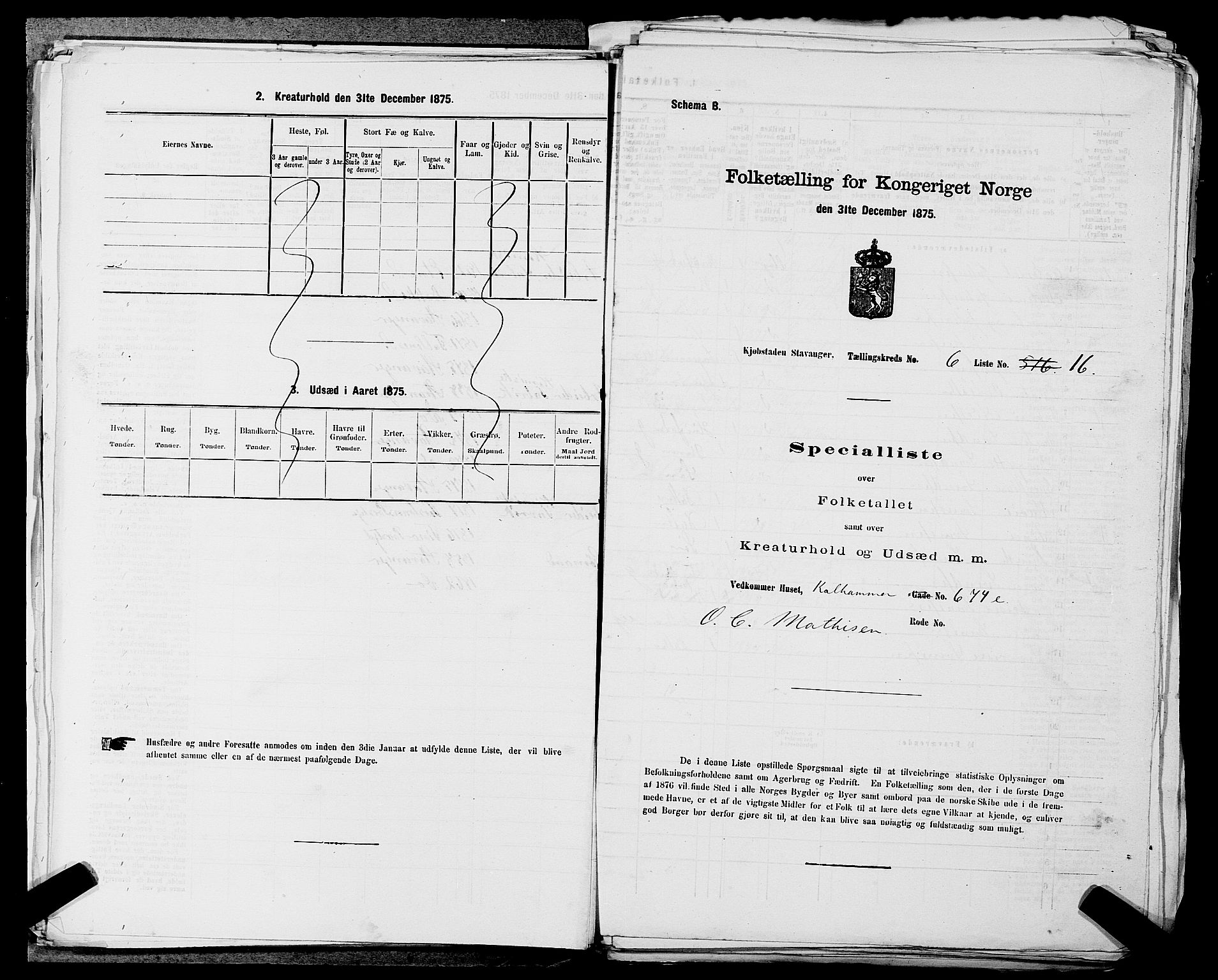 SAST, 1875 census for 1103 Stavanger, 1875, p. 965