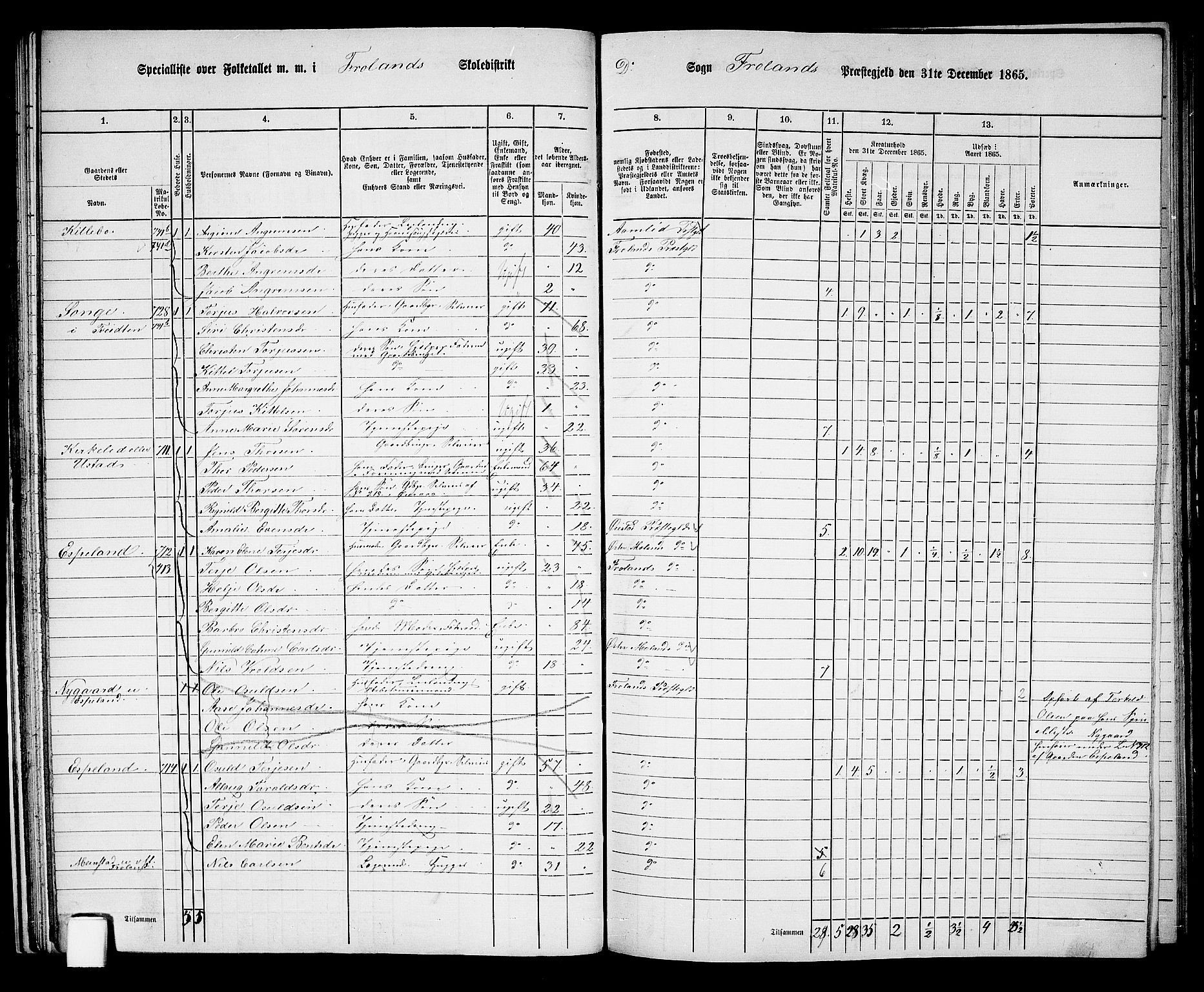 RA, 1865 census for Froland, 1865, p. 36