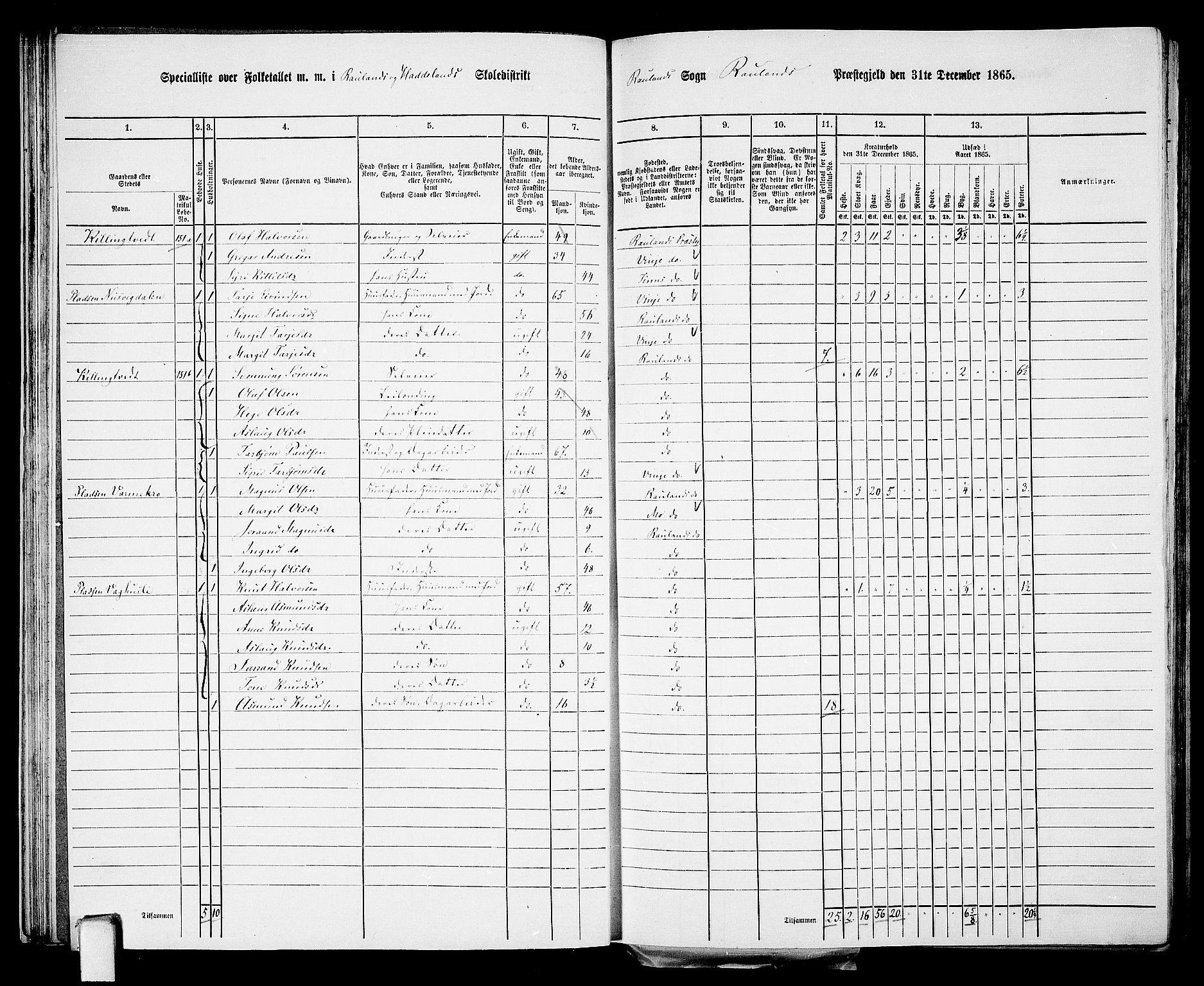 RA, 1865 census for Rauland, 1865, p. 31