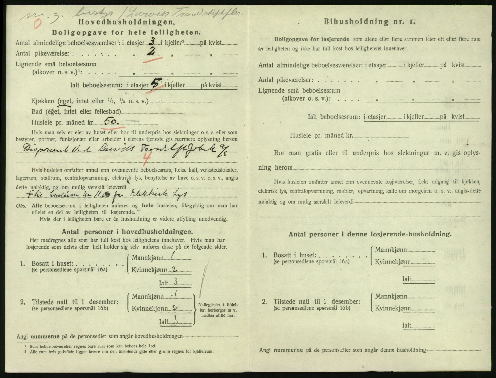 SAKO, 1920 census for Larvik, 1920, p. 3291