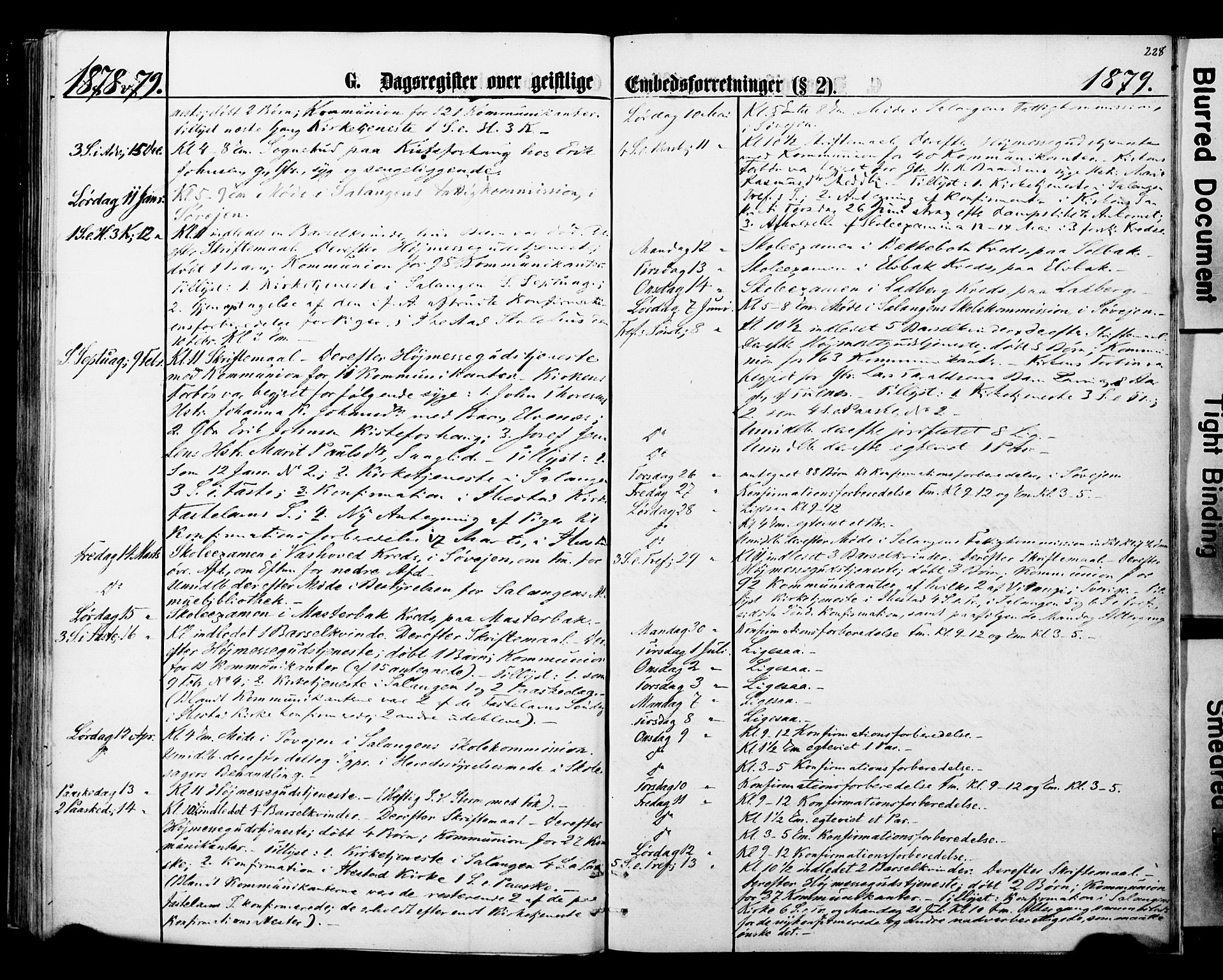Ibestad sokneprestembete, SATØ/S-0077/H/Ha/Haa/L0013kirke: Parish register (official) no. 13, 1865-1879, p. 228