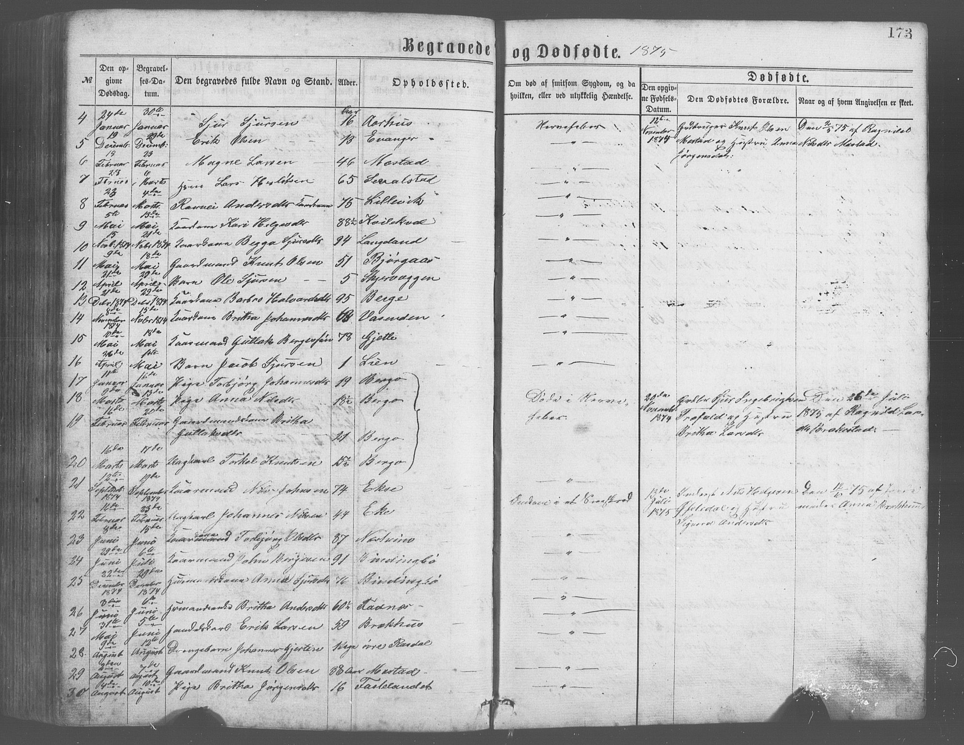 Evanger sokneprestembete, AV/SAB-A-99924: Parish register (copy) no. A 2, 1863-1879, p. 173