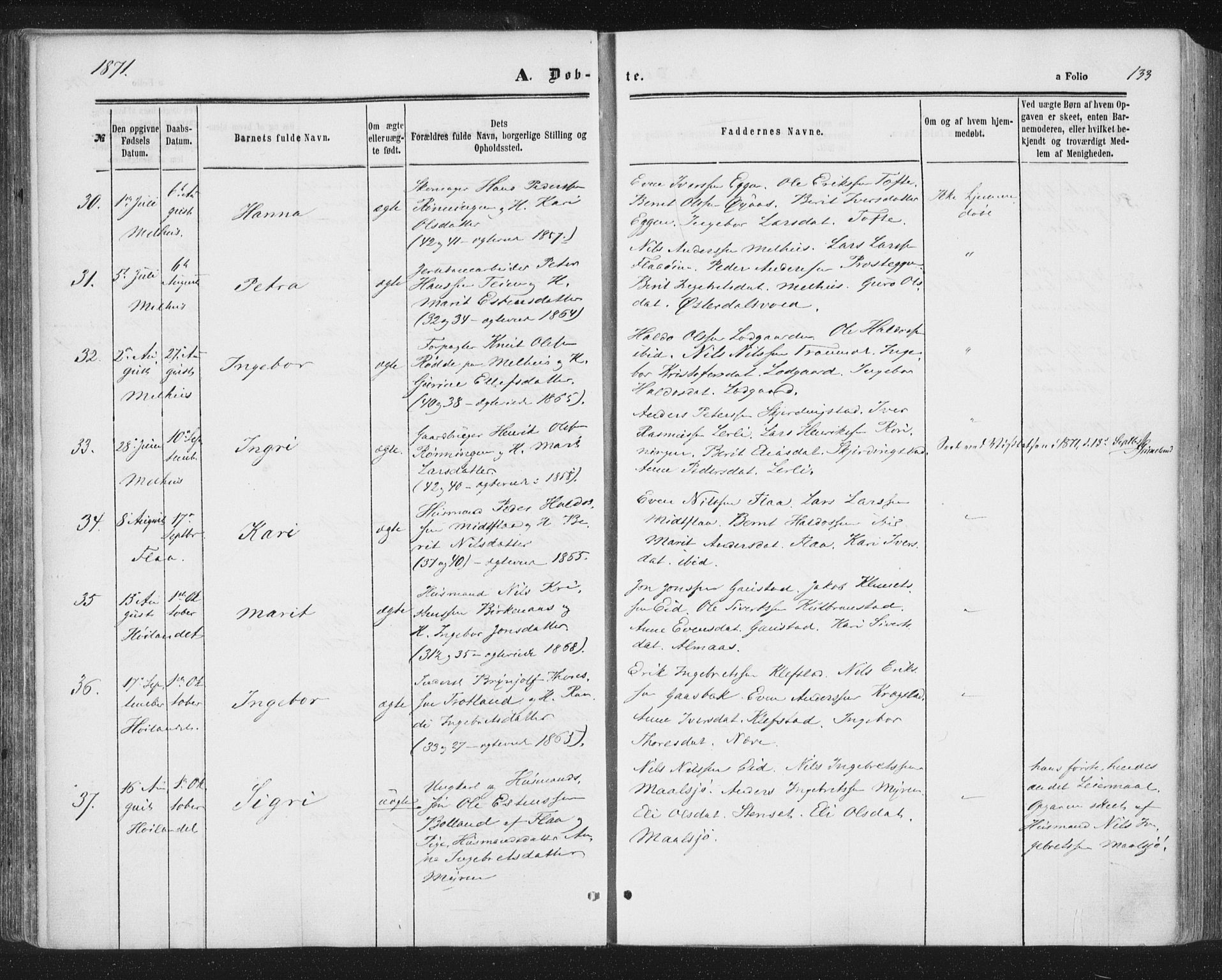 Ministerialprotokoller, klokkerbøker og fødselsregistre - Sør-Trøndelag, SAT/A-1456/691/L1077: Parish register (official) no. 691A09, 1862-1873, p. 133