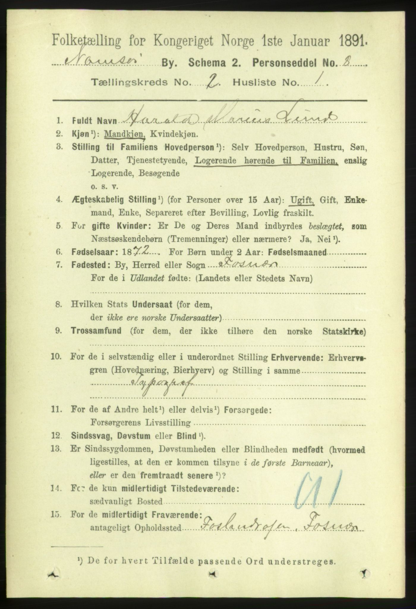 RA, 1891 census for 1703 Namsos, 1891, p. 513