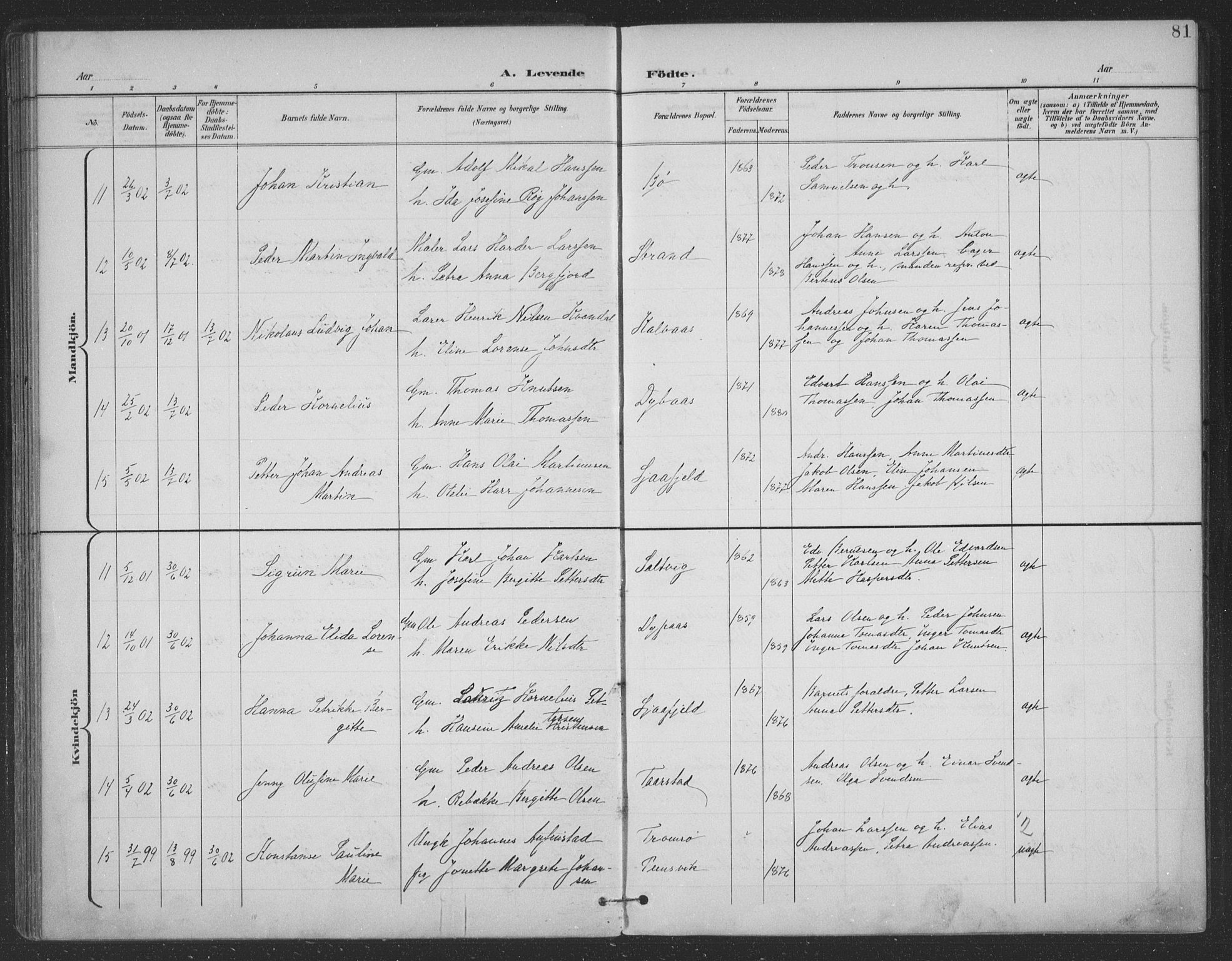 Ministerialprotokoller, klokkerbøker og fødselsregistre - Nordland, AV/SAT-A-1459/863/L0899: Parish register (official) no. 863A11, 1897-1906, p. 81