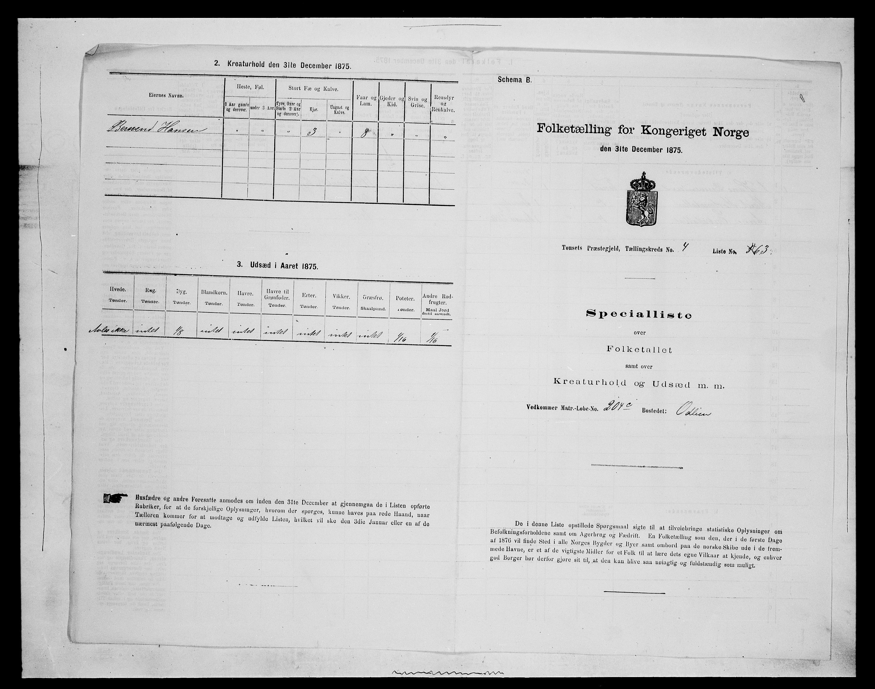 SAH, 1875 census for 0437P Tynset, 1875, p. 554