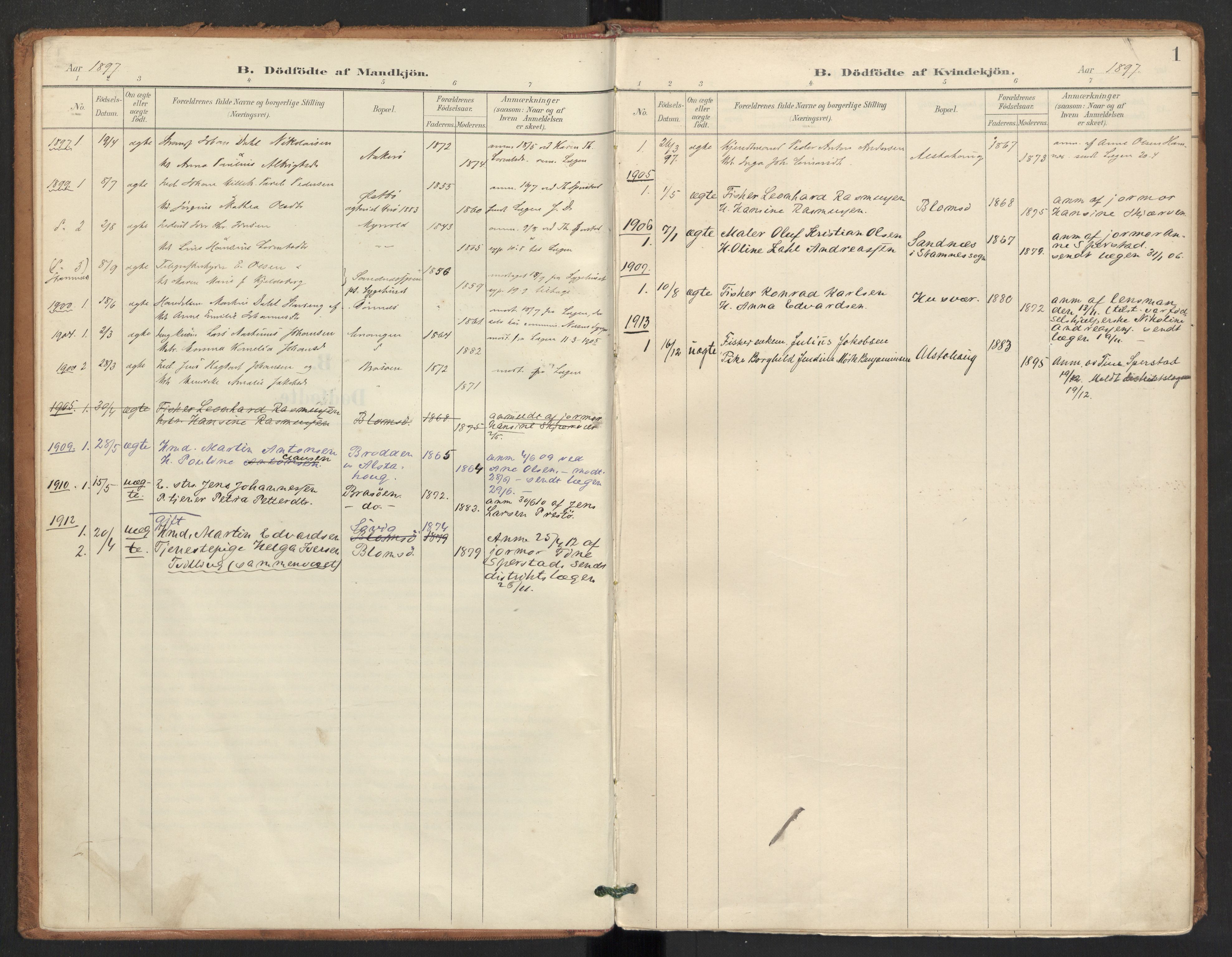 Ministerialprotokoller, klokkerbøker og fødselsregistre - Nordland, SAT/A-1459/830/L0454: Parish register (official) no. 830A18, 1897-1913, p. 1