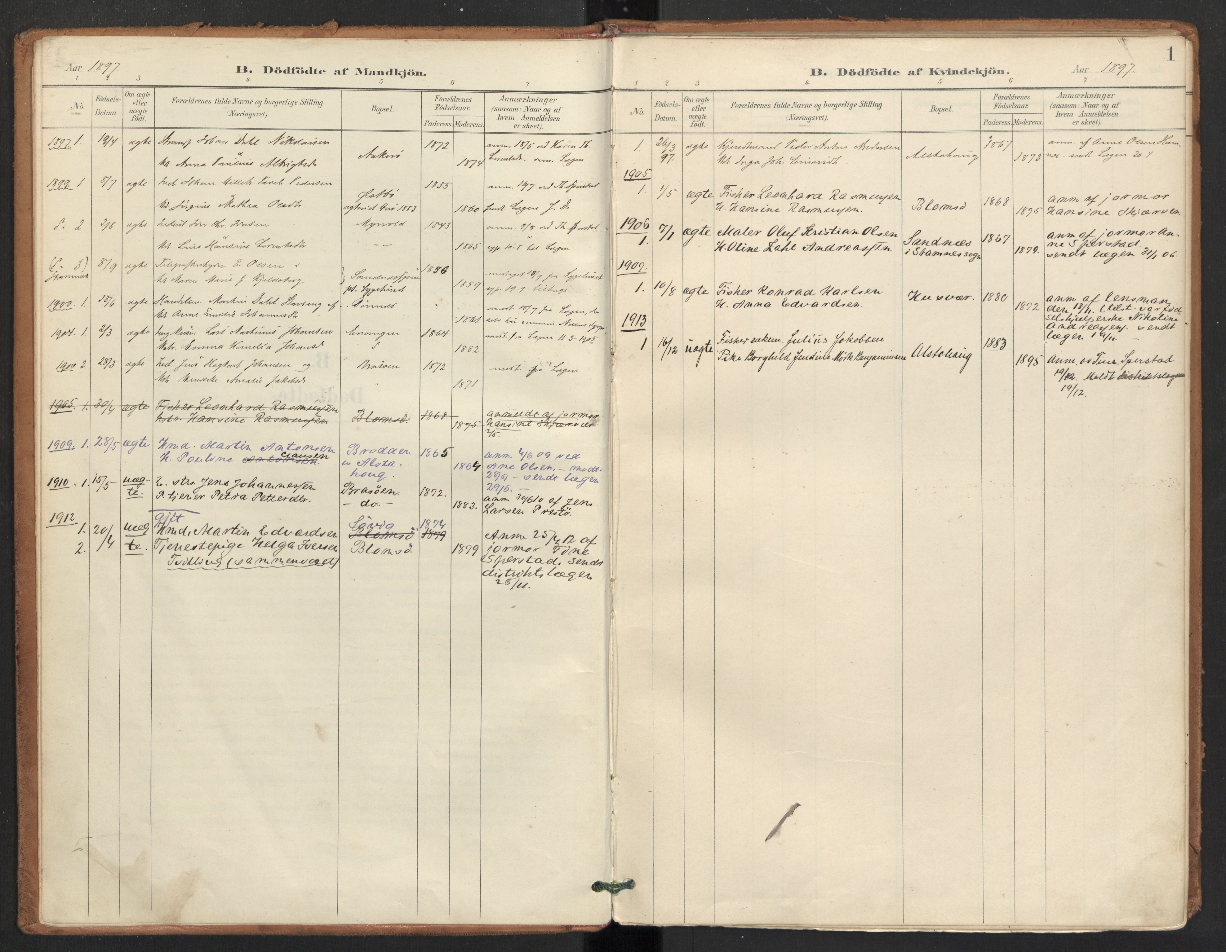 Ministerialprotokoller, klokkerbøker og fødselsregistre - Nordland, AV/SAT-A-1459/830/L0454: Parish register (official) no. 830A18, 1897-1913, p. 1