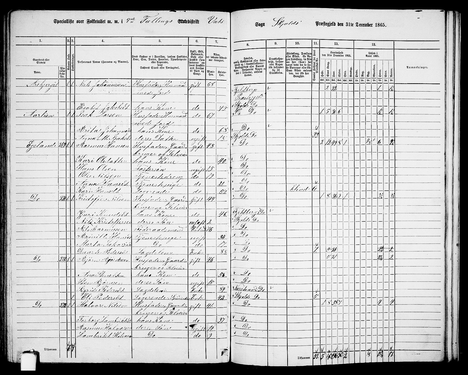 RA, 1865 census for Skjold, 1865, p. 138