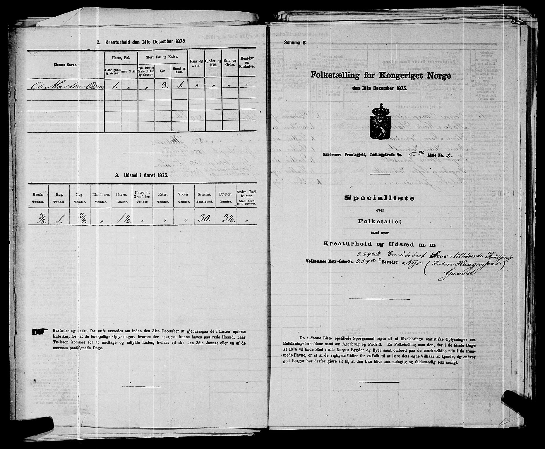 SAKO, 1875 census for 0629P Sandsvær, 1875, p. 872