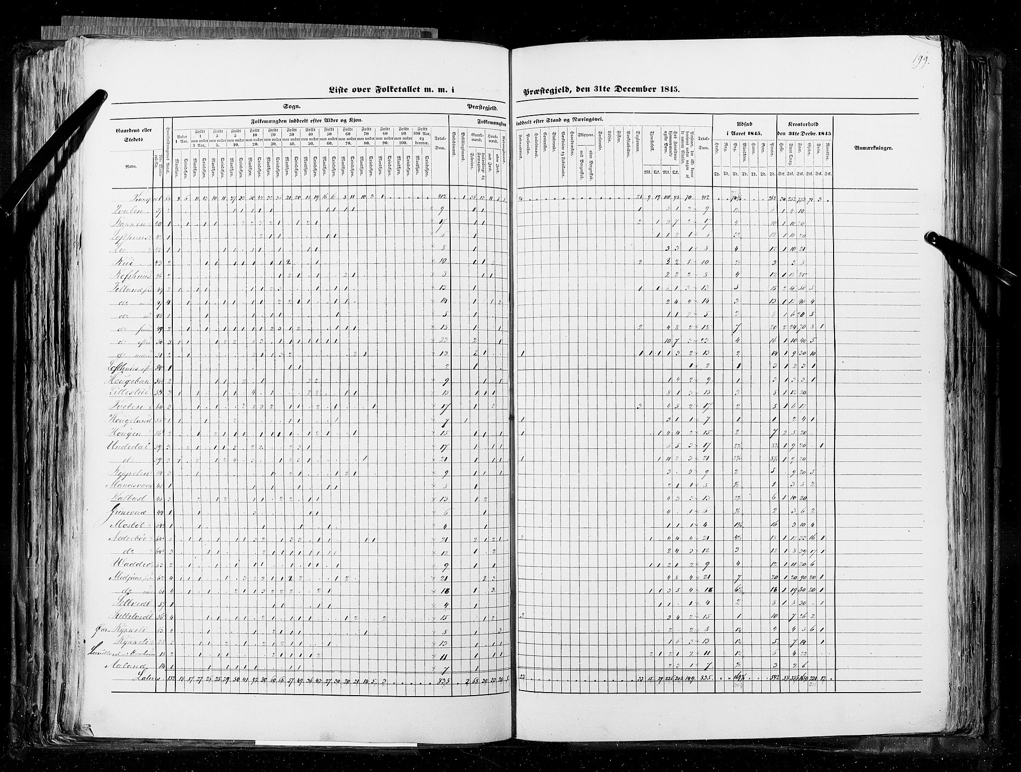 RA, Census 1845, vol. 5: Bratsberg amt og Nedenes og Råbyggelaget amt, 1845, p. 199