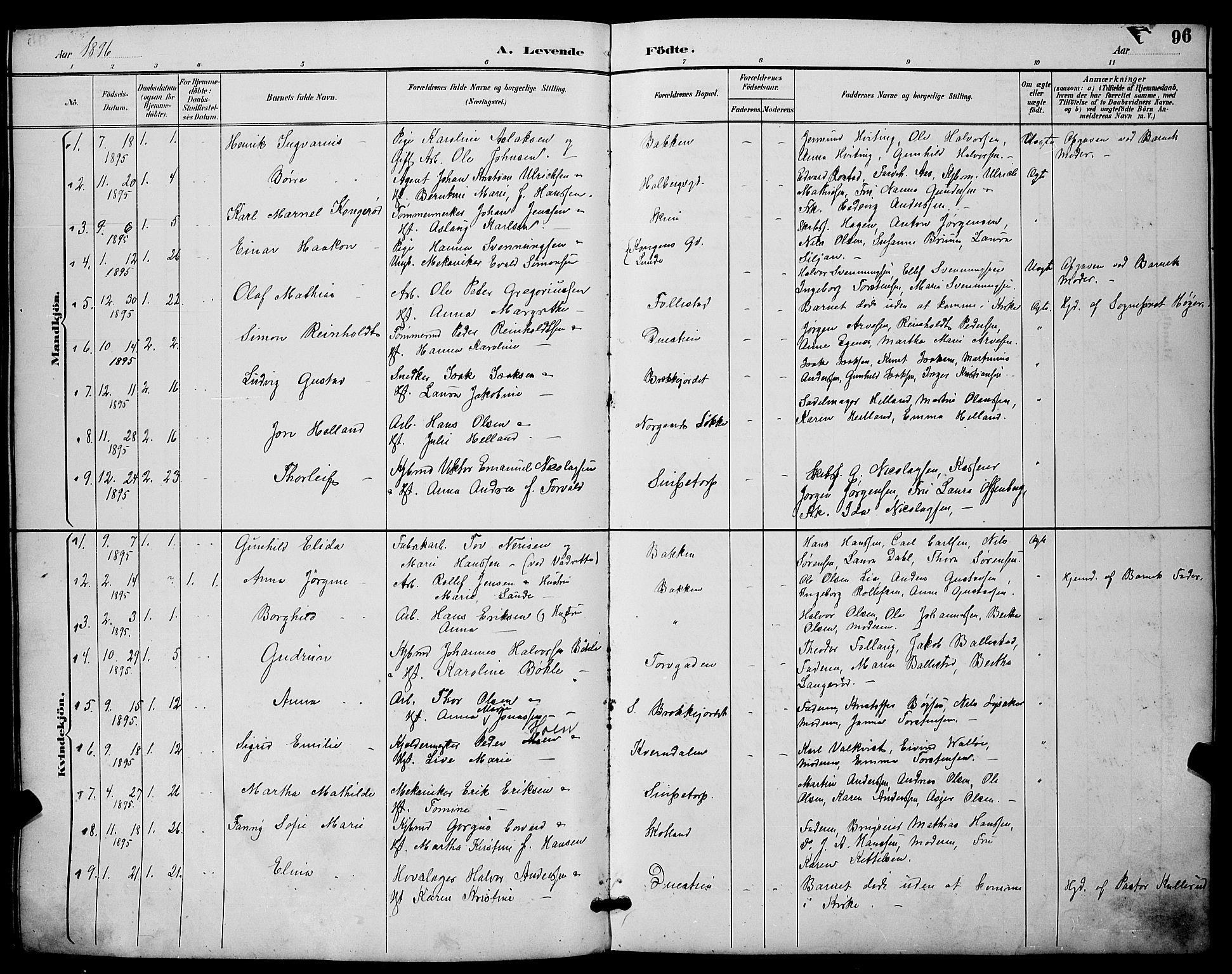 Skien kirkebøker, SAKO/A-302/G/Ga/L0007: Parish register (copy) no. 7, 1891-1900, p. 96