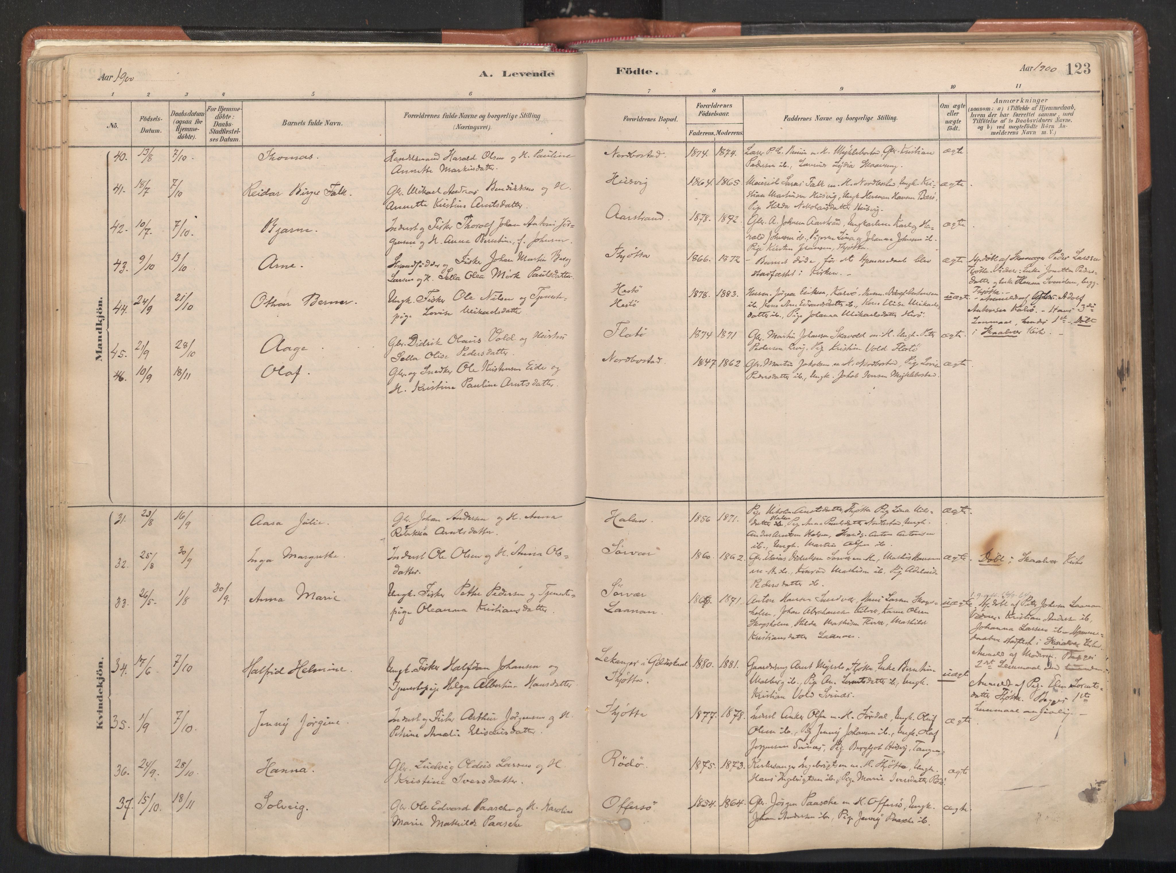 Ministerialprotokoller, klokkerbøker og fødselsregistre - Nordland, AV/SAT-A-1459/817/L0264: Parish register (official) no. 817A04, 1878-1907, p. 123