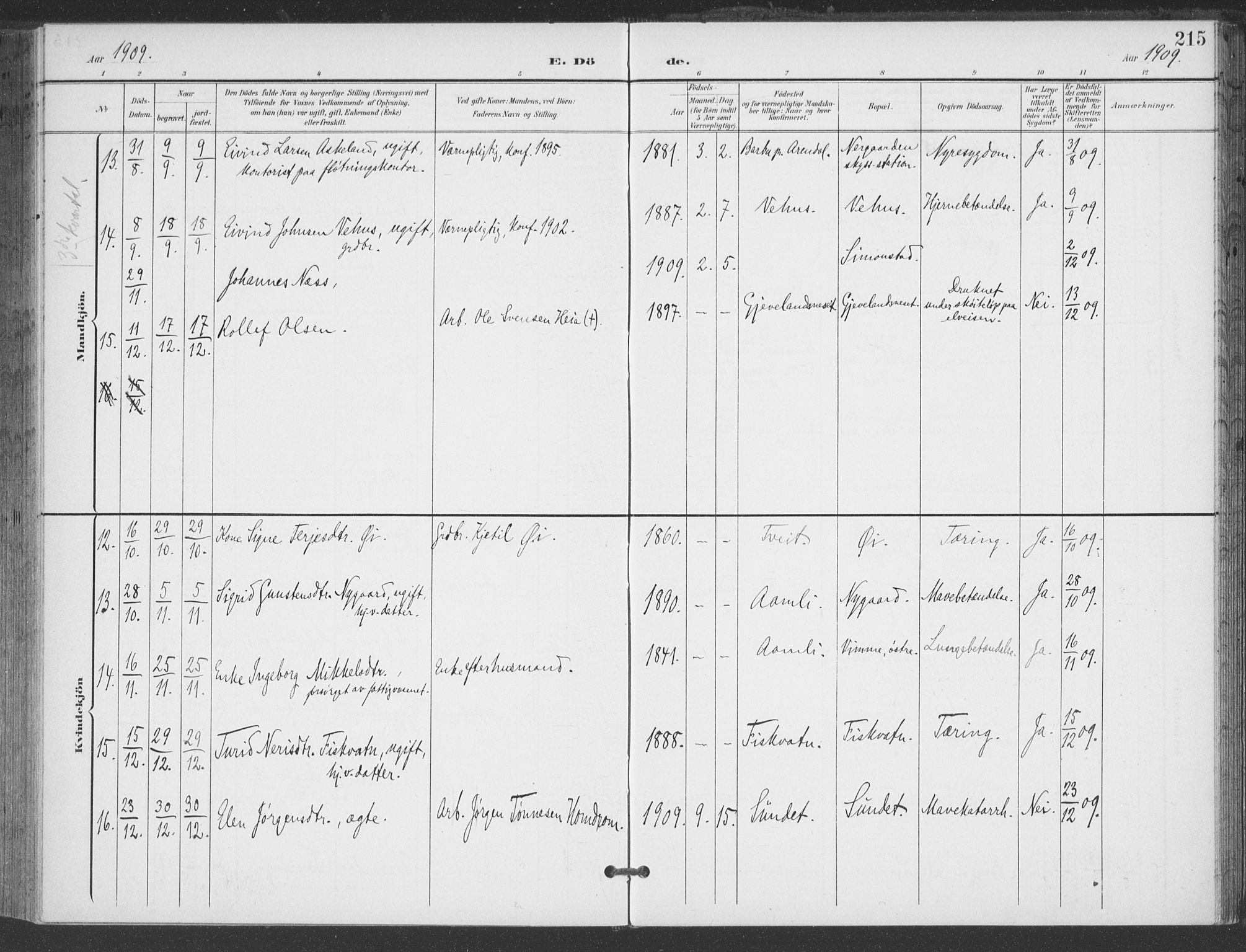 Åmli sokneprestkontor, AV/SAK-1111-0050/F/Fa/Fac/L0012: Parish register (official) no. A 12, 1900-1914, p. 215